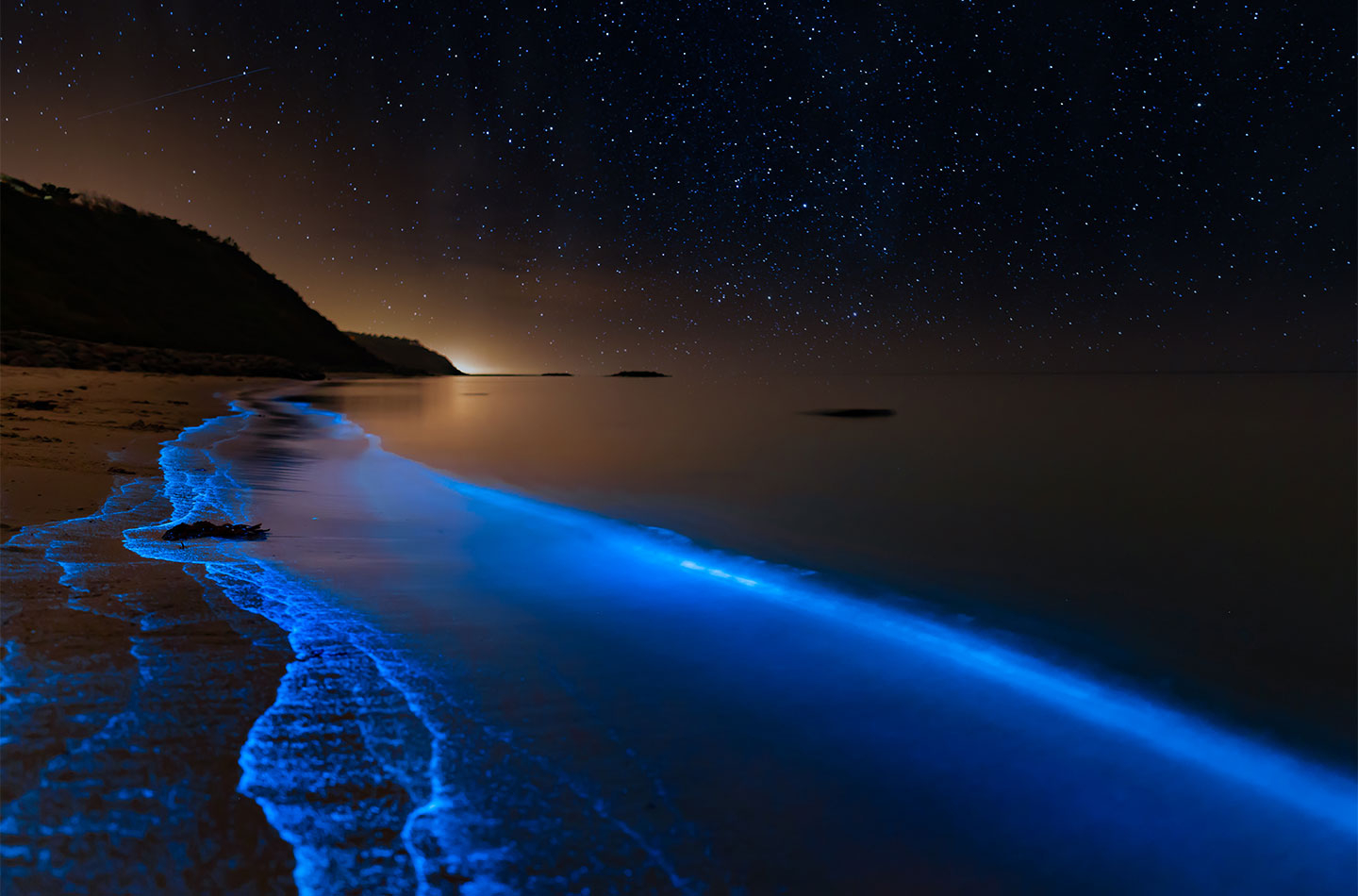 Bioluminescens Kunstværk af Daniel Faisst - Unik Atmosfære