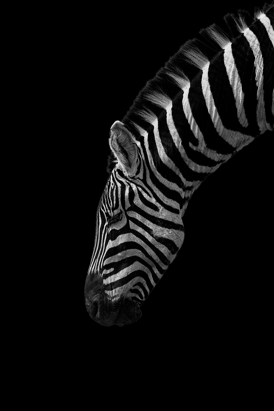 Sort-hvide Striber - Unik Kunstværk til Dit Hjem