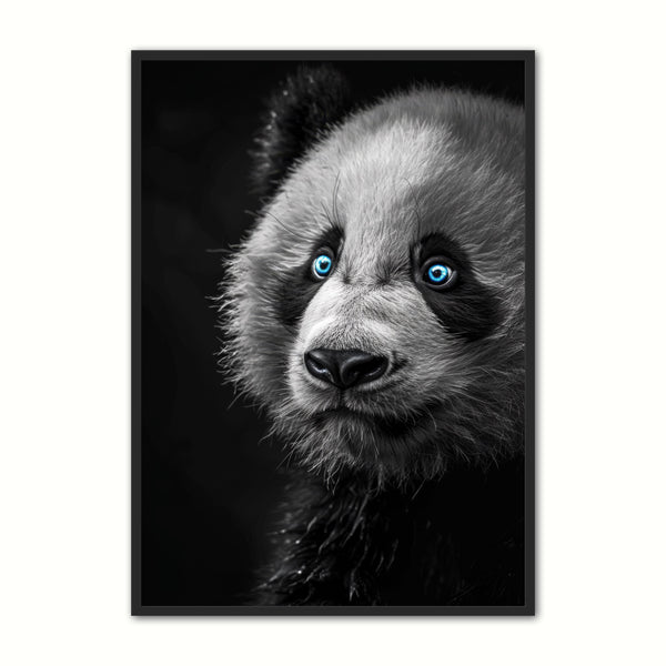 Blå Øjne Panda Plakat - Fantastisk Tilbud til Dit Hjem!