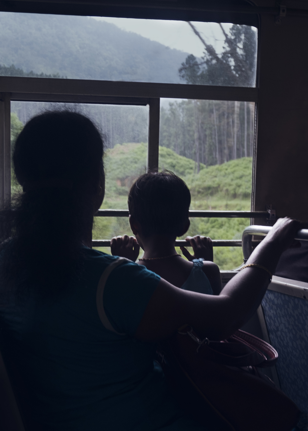 Busrejse i Sri Lanka – Smuk Kunst til Dit Hjem