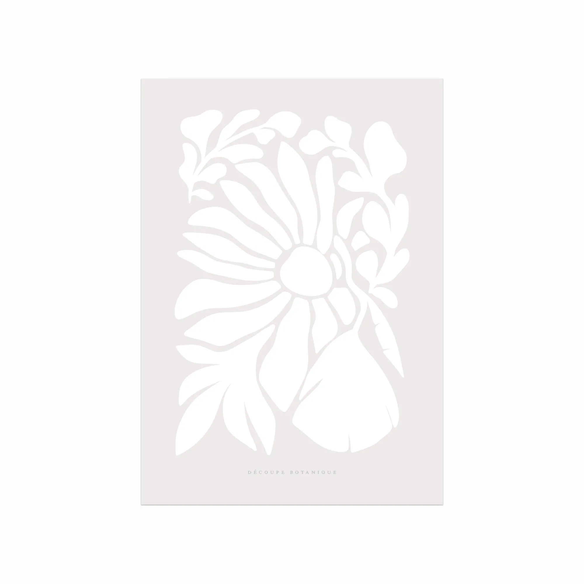 Botanisk Plakat 02 – Naturlig Skønhed til Dit Hjem