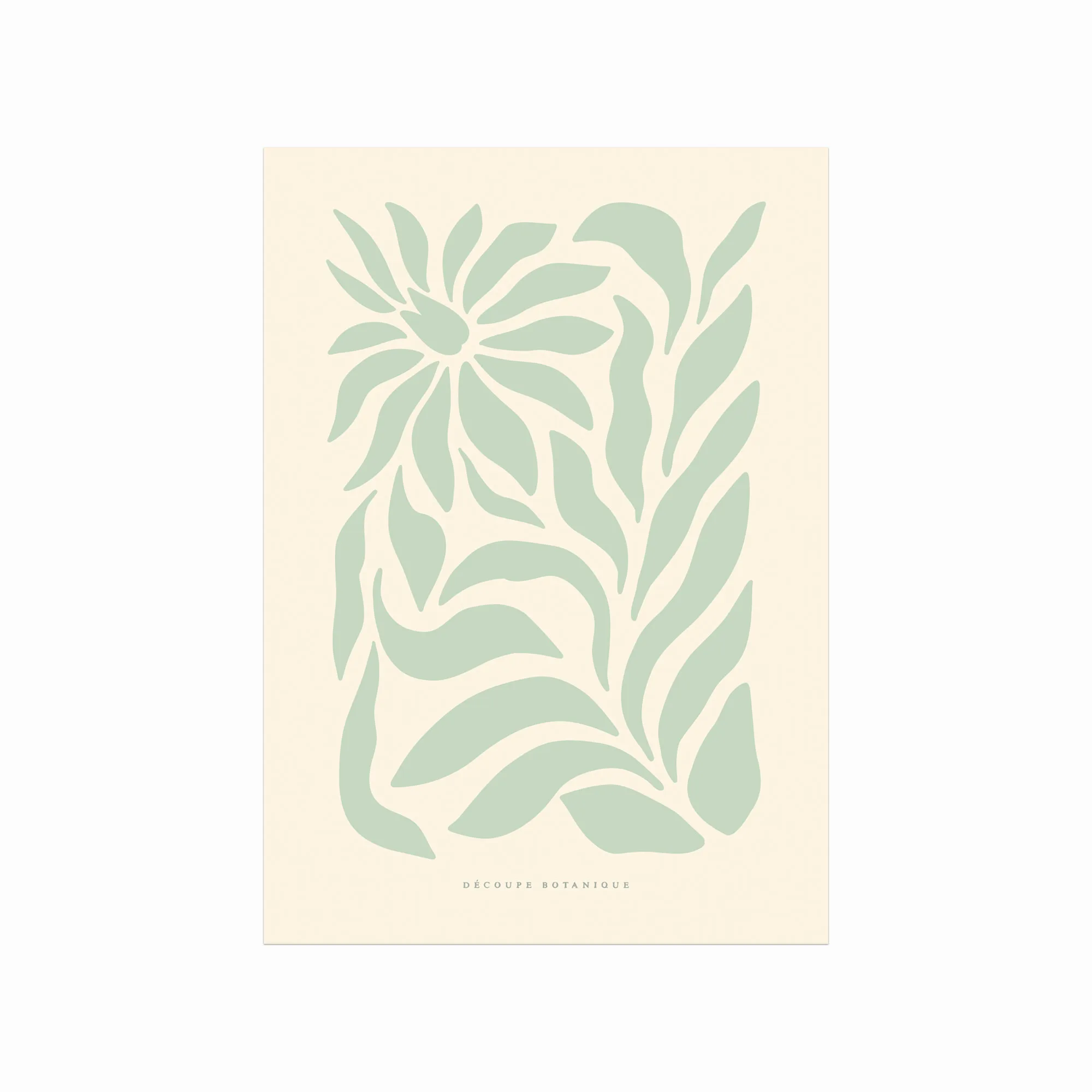 Elegant Botanisk Plakat 03 – Blomsterkunst til Dit Hjem