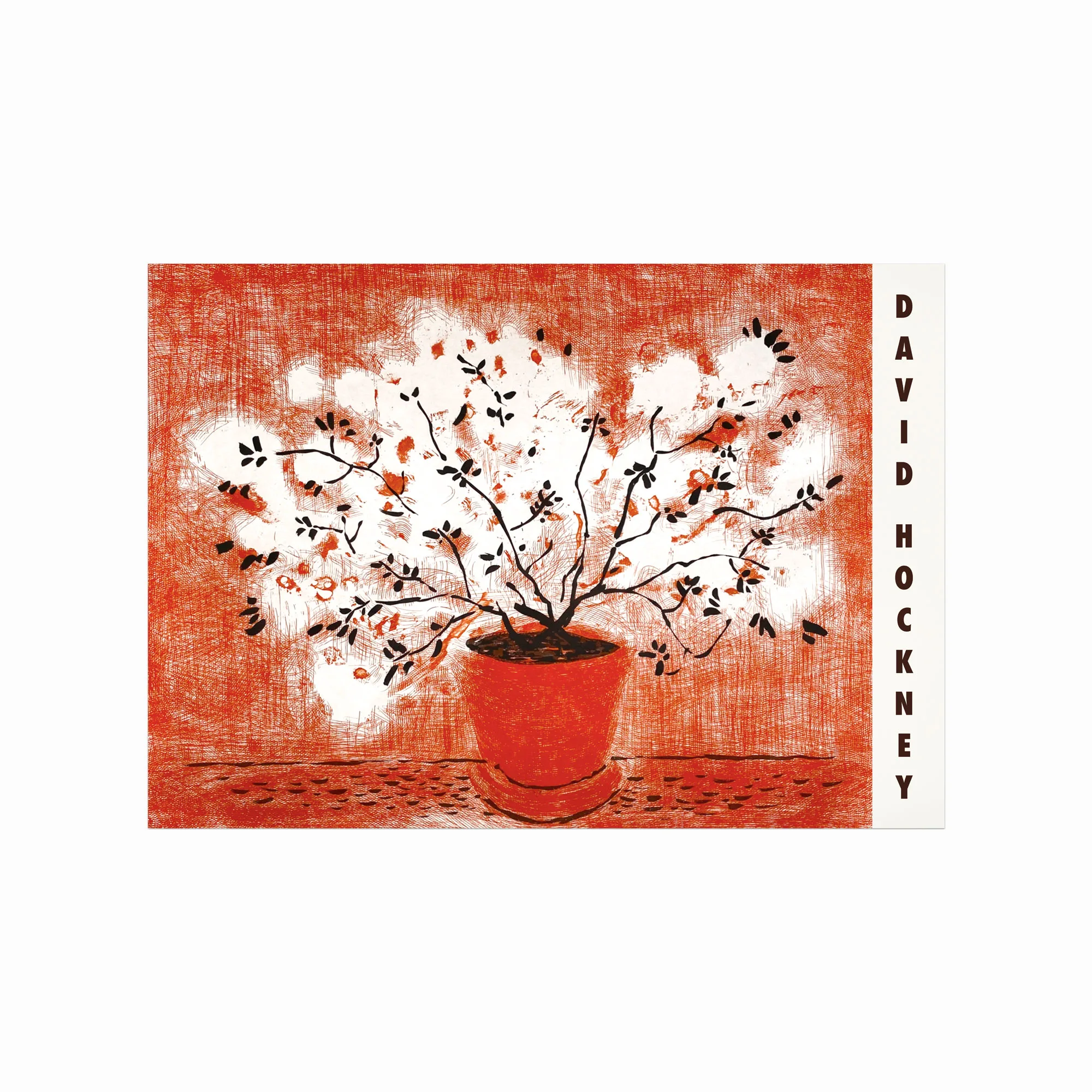 David Hockney Plakat - Rød Etching Kunstværk Tilbud