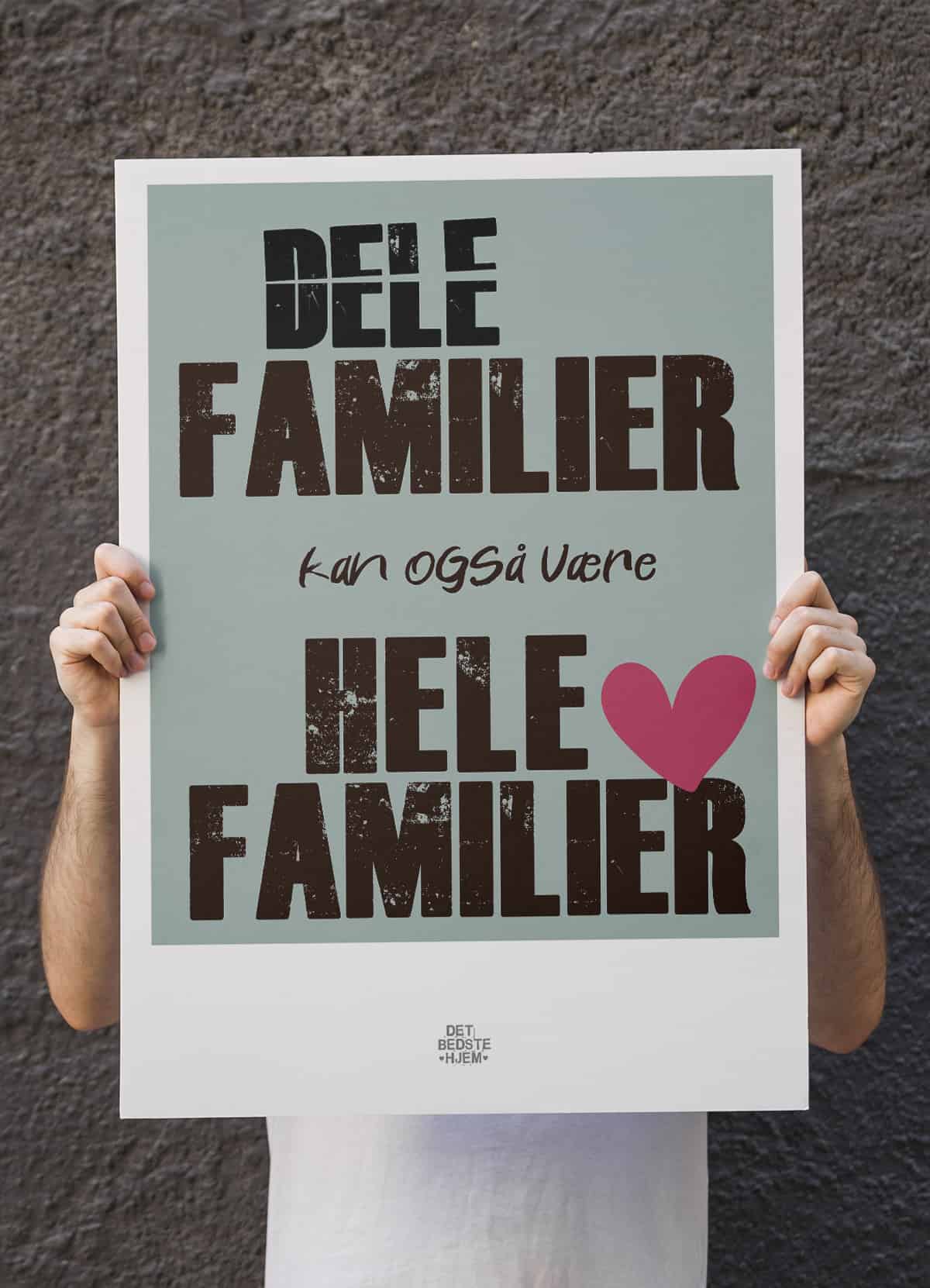 Delefamilier Plakat – Fejring af Sammenbragte Familier