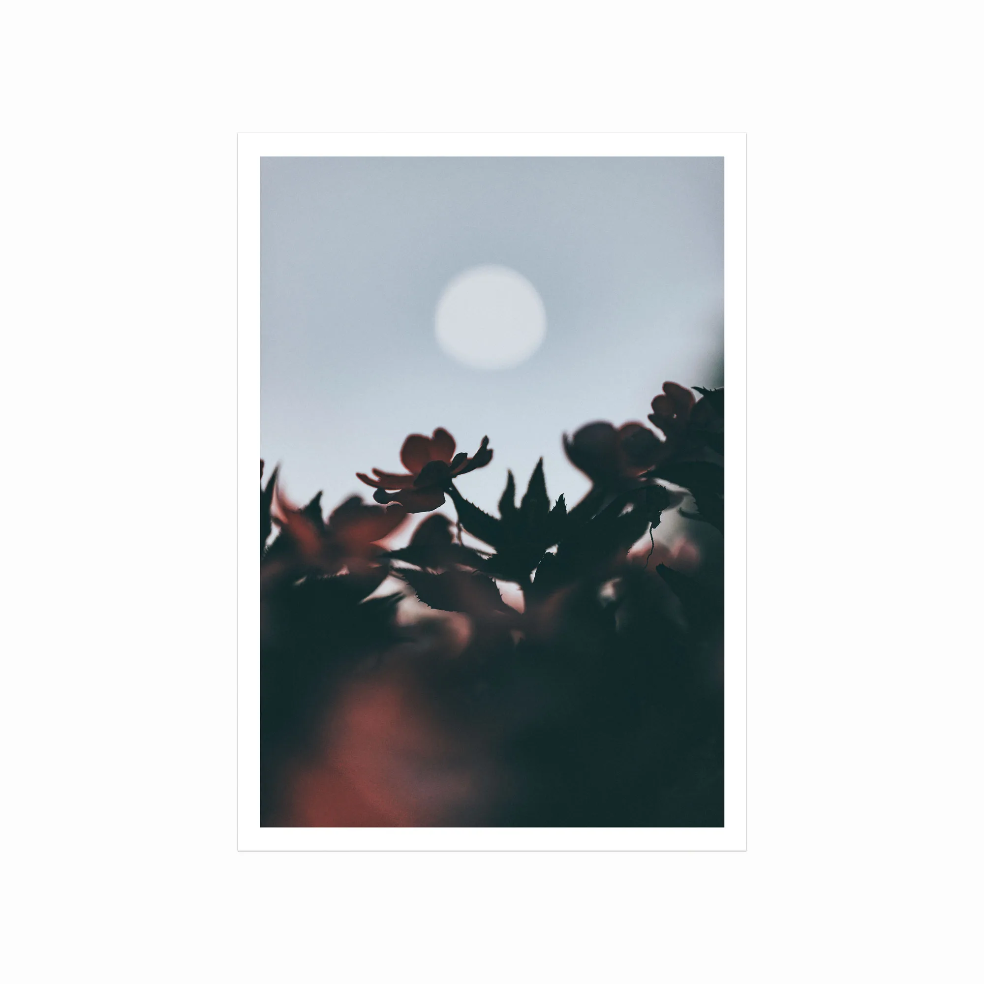 Smuk plakat med Harvest Moon - Naturens skønhed og ro