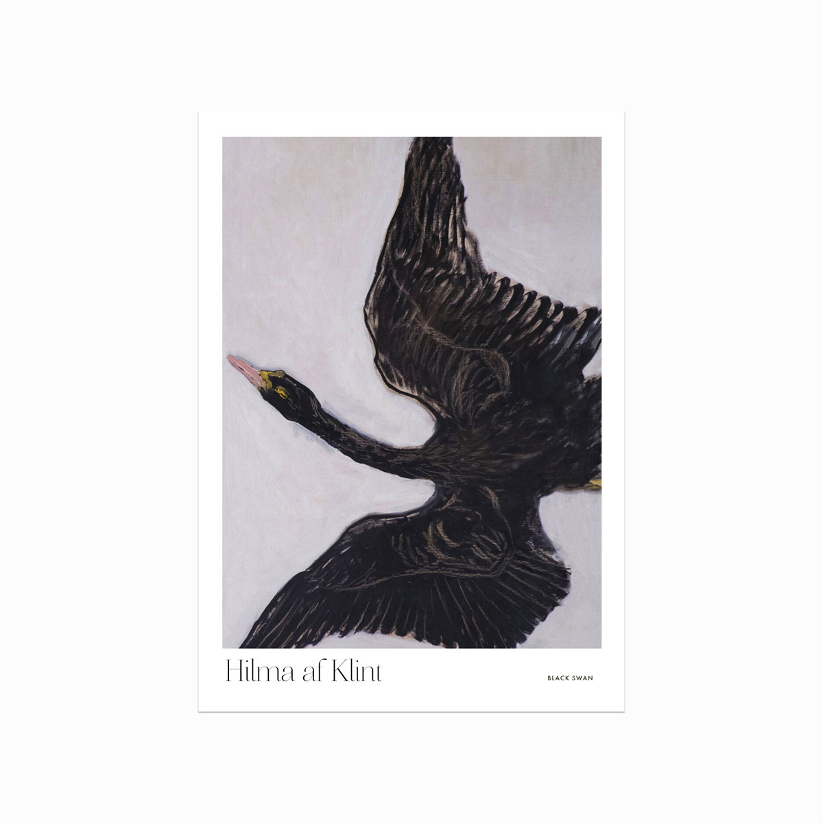 Hilma Af Klint – Black Swan Plakat til din indretning