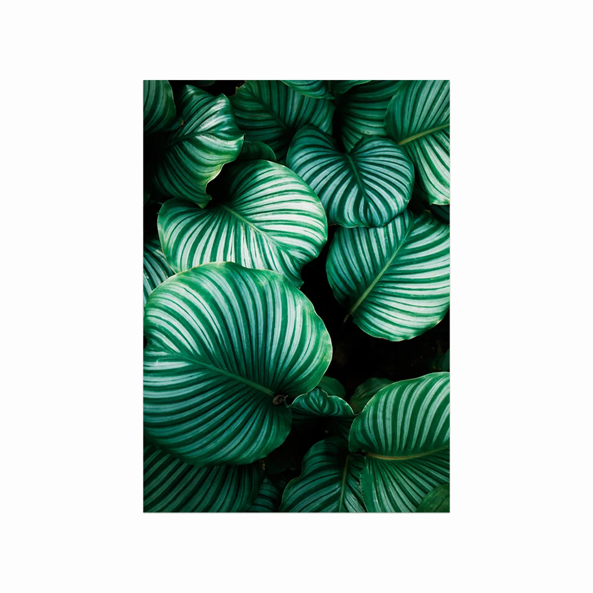Lush Plakat med Blomster – Naturens Skønhed til Dit Hjem