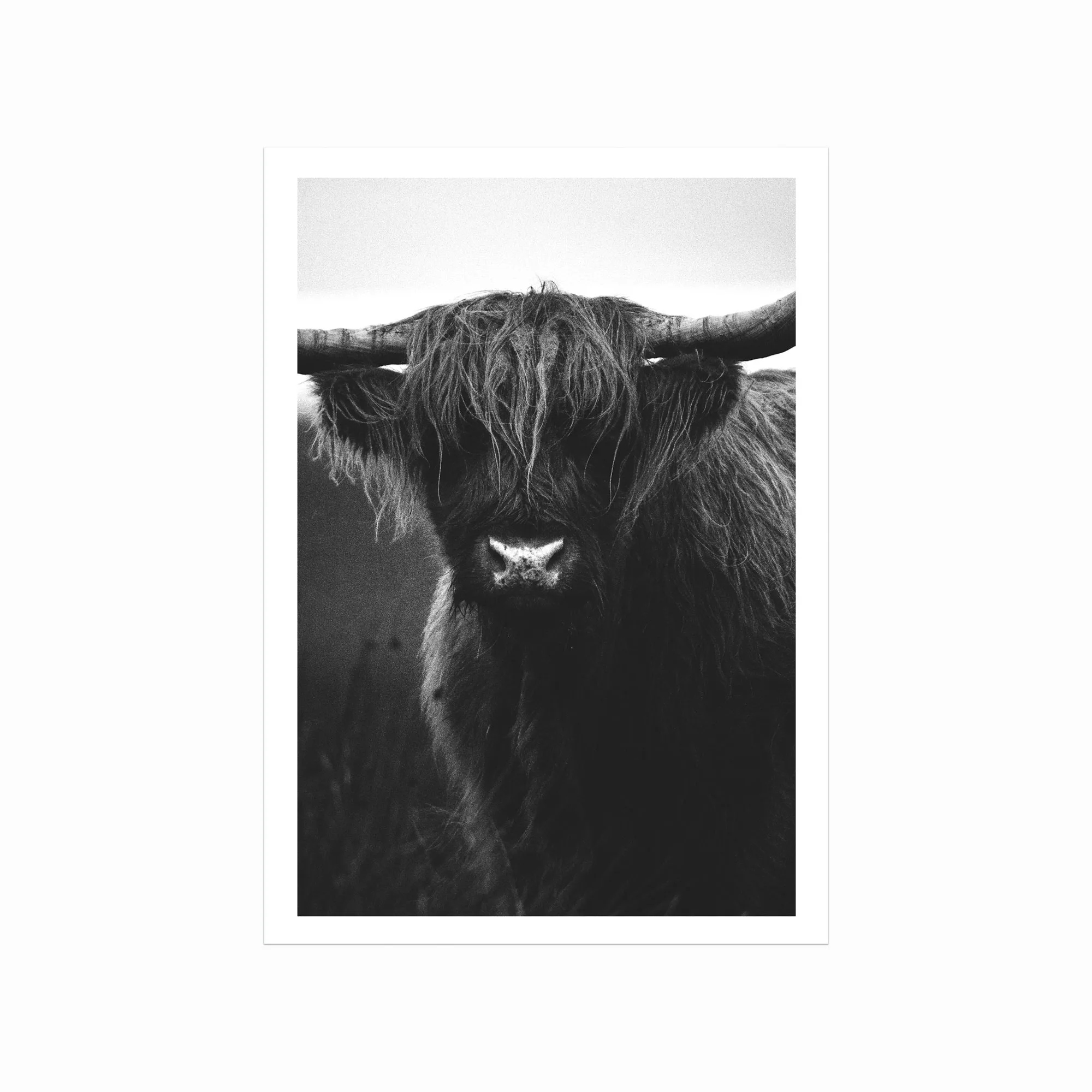 Beroligende Dyreliv Plakat – Naturlig Elegance i Sort/Hvid