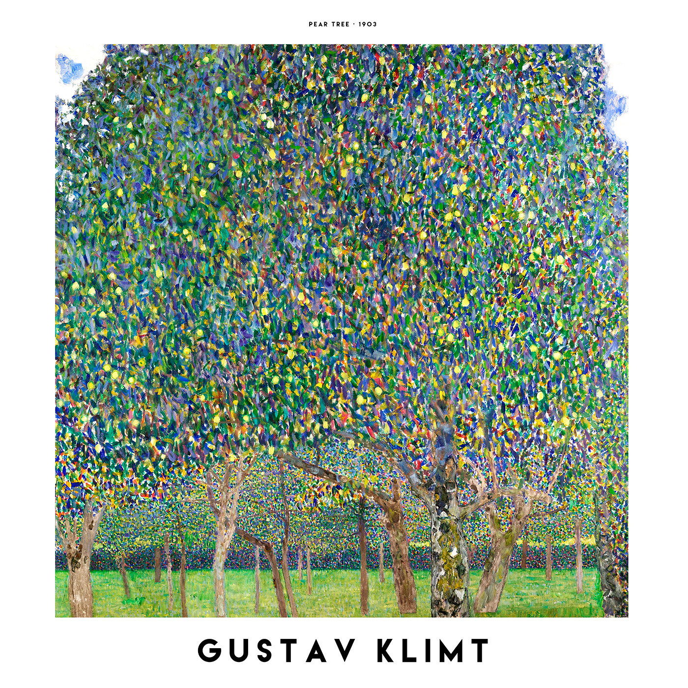 Pæretræ Plakat – Unik Kunst til Dit Hjem og Stue