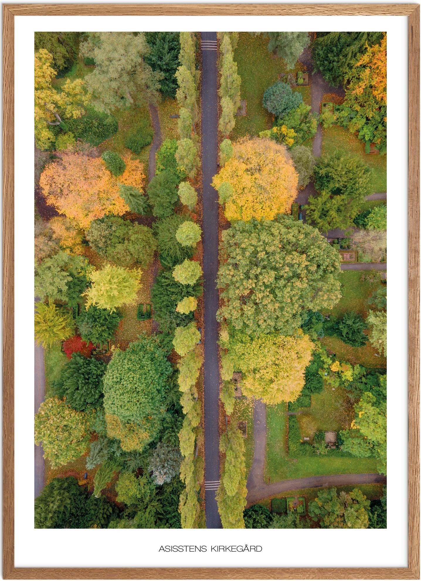 Plakat Assistens Kirkegård Naturplakat Plakater København Plakat Plakatsnedkeren Drone-plakater