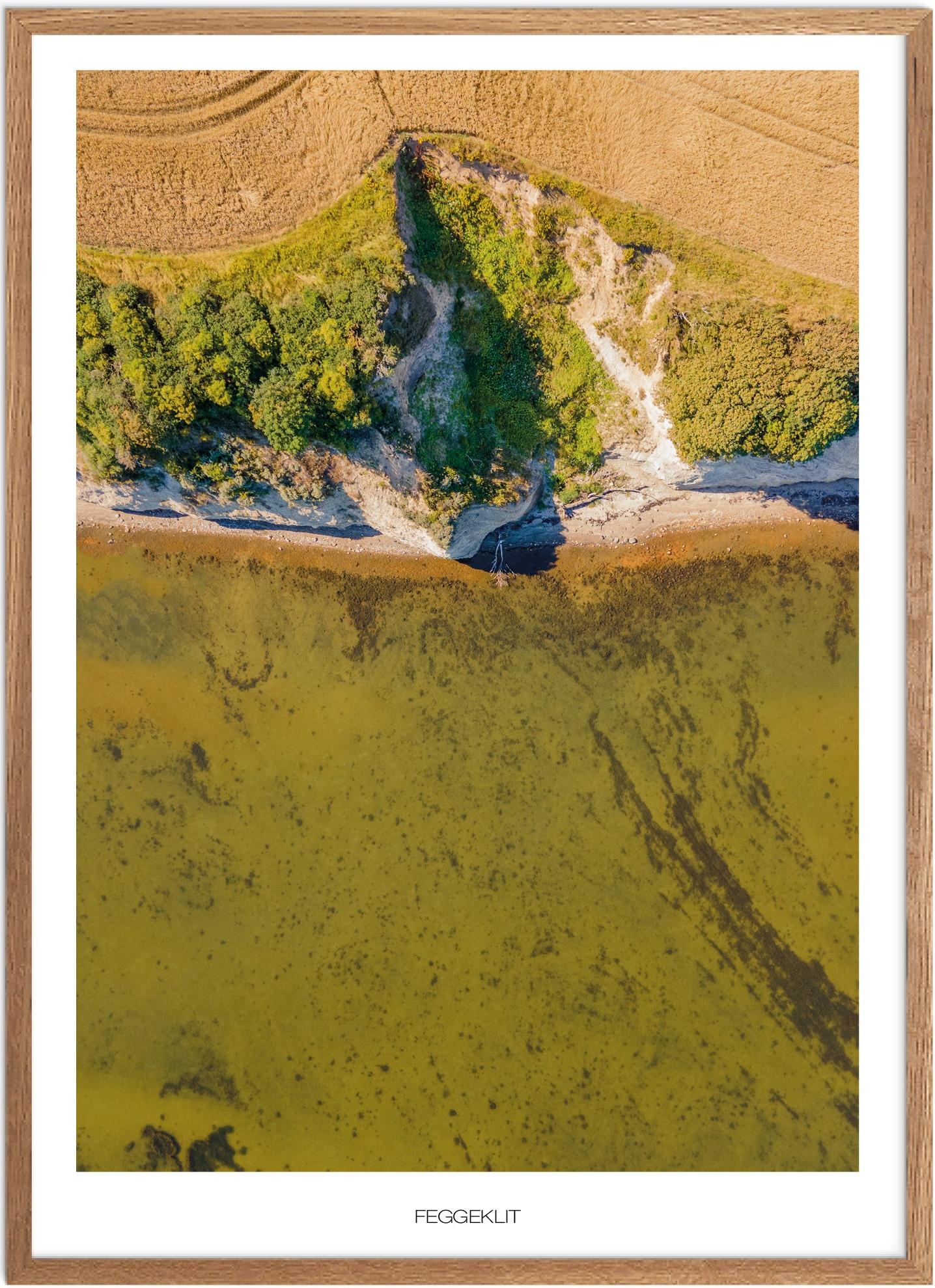 Plakat Feggeklit Naturplakat Plakater Nordjylland Plakat Plakatsnedkeren Bestsellere