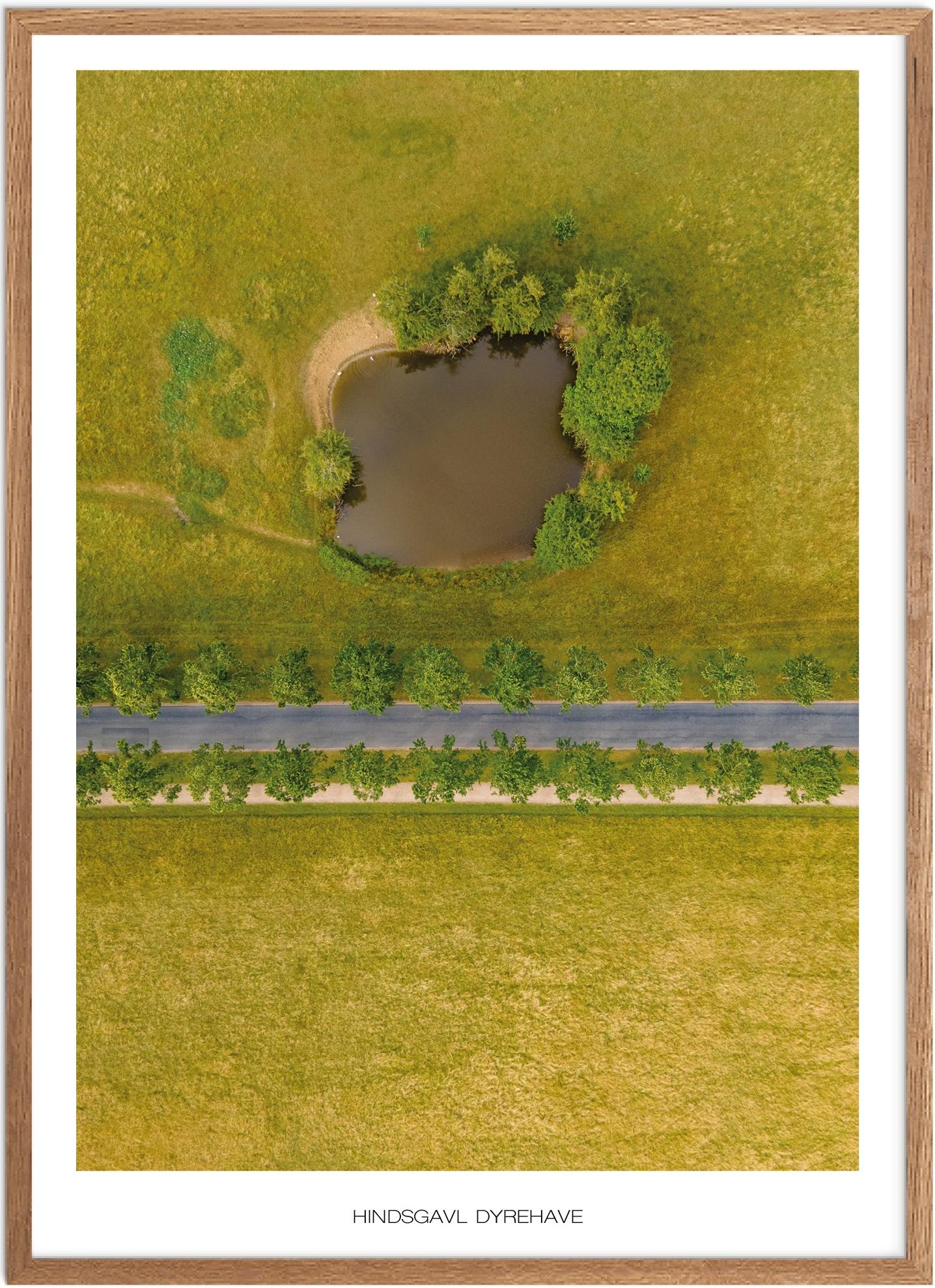 Plakat Hindsgavl Dyrehave Naturplakat Plakater Fyn Plakat Plakatsnedkeren Drone-plakater