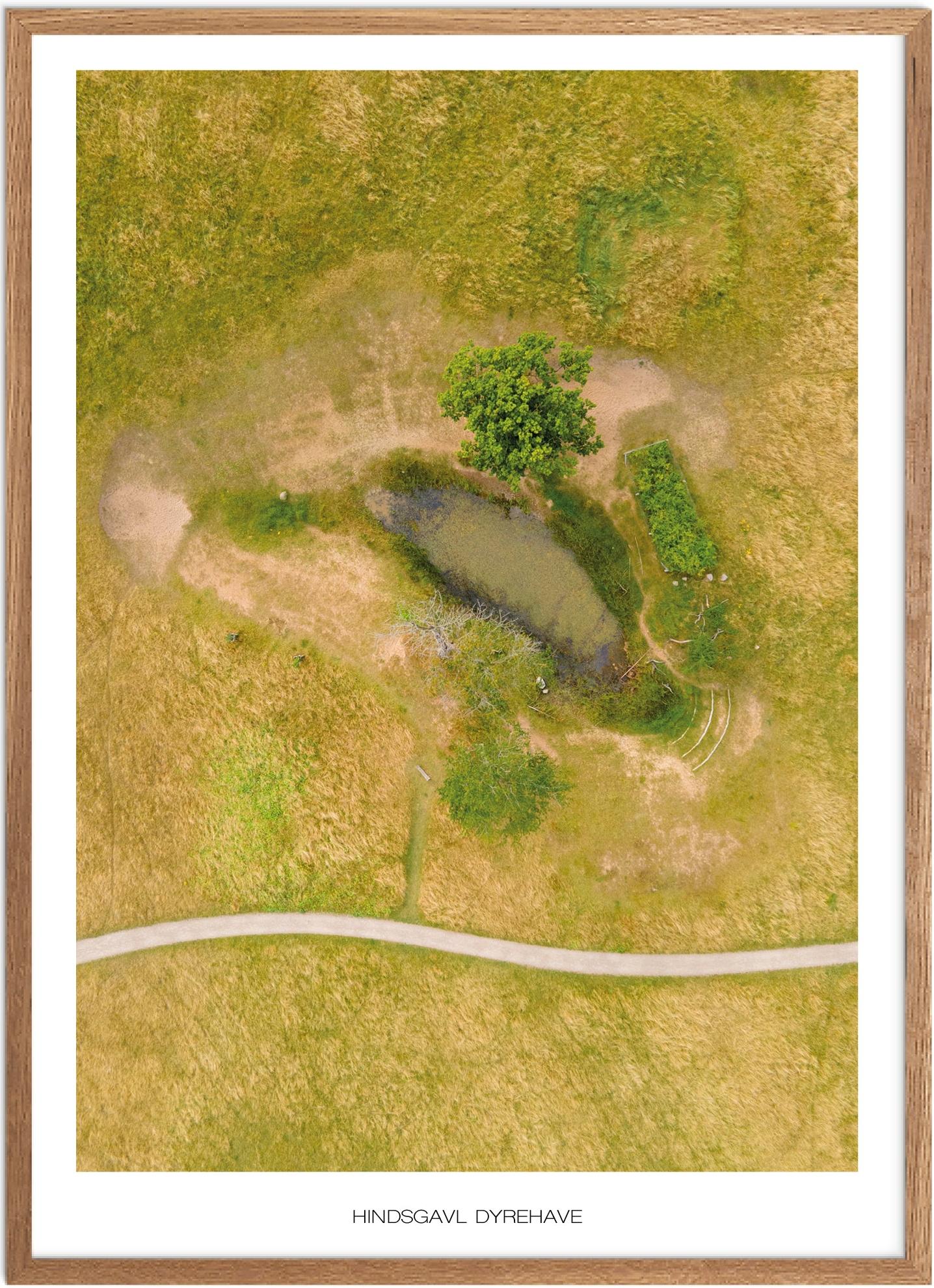 Plakat Hindsgavl Dyrehave Naturplakat Plakater Fyn Plakat Plakatsnedkeren Drone-plakater