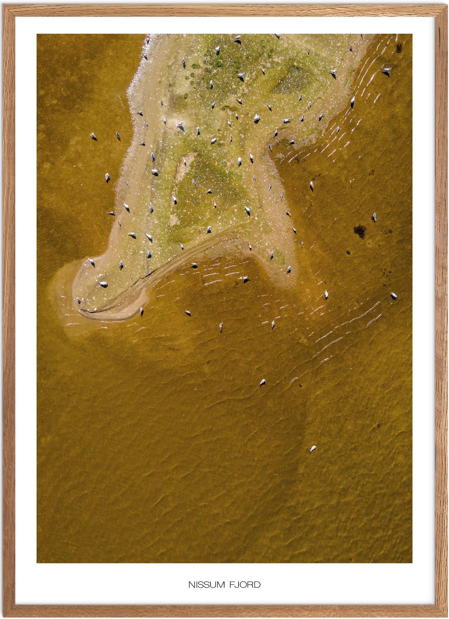 Plakat Nissum Fjord Naturplakat Plakater Vestjylland Plakat Plakatsnedkeren Drone-plakater