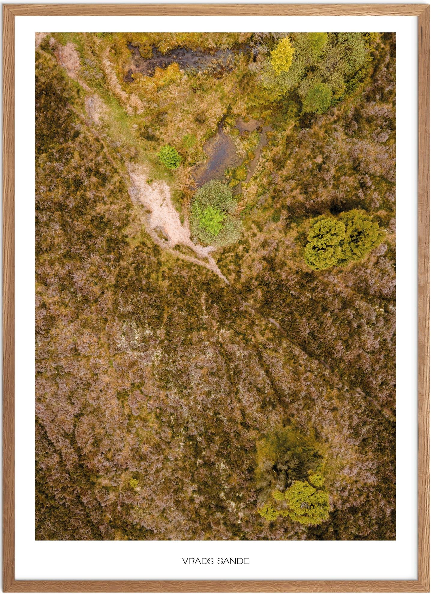 Plakat Vrads Sande Naturplakat Plakater østjylland Plakat Plakatsnedkeren Plakater Midtjylland