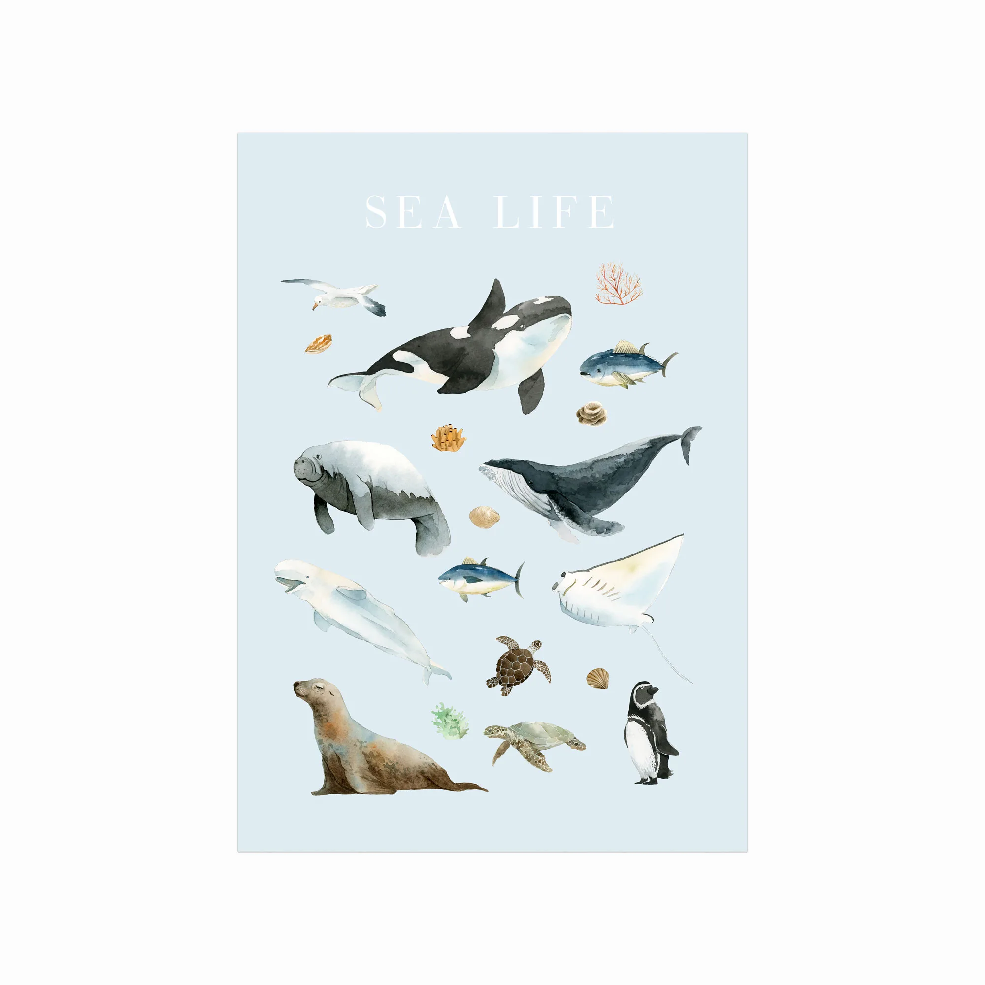 Oplev roen med Sea Life plakat – perfekt til dit hjem!