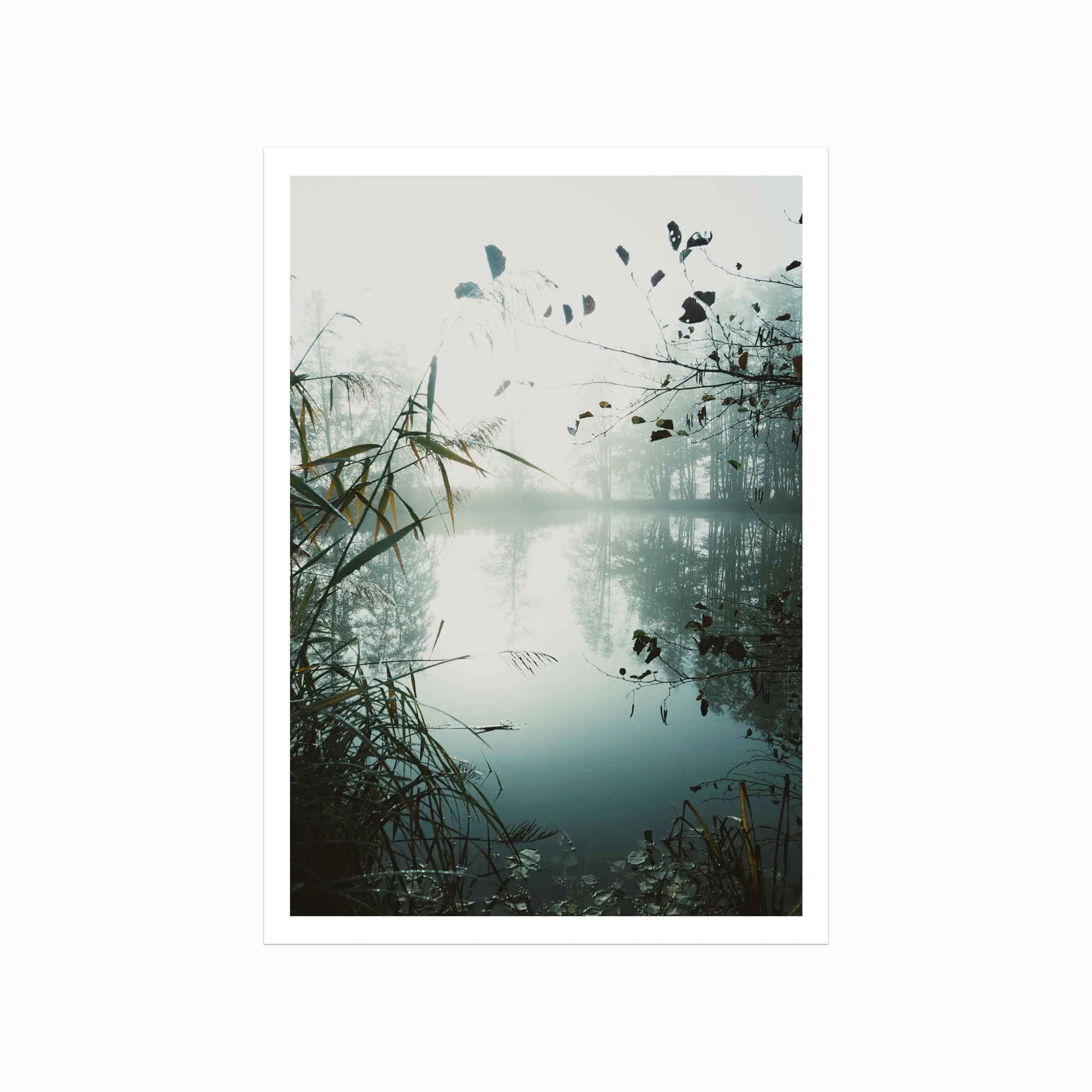 Serendipity Plakat – Naturskøn Kunst til Dit Hjem