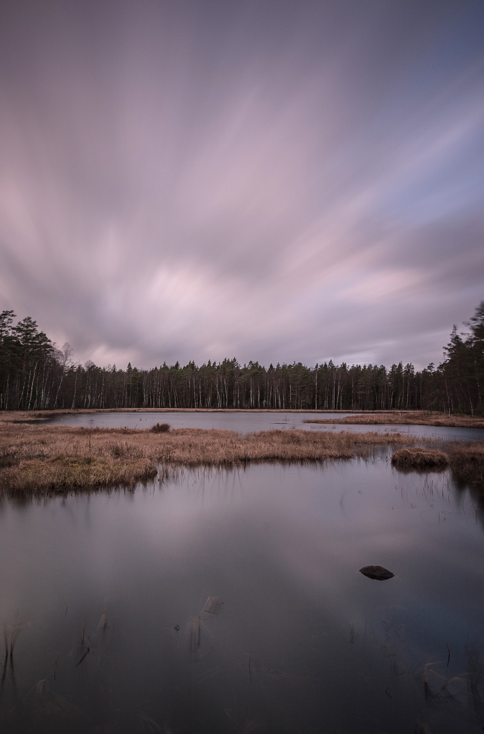 Smuk Kunst: The Tree Line af Mikkel Beiter - Naturmotiver