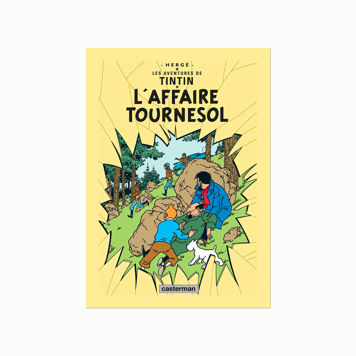 Tintin Plakat Affaire Tournesol 1956
