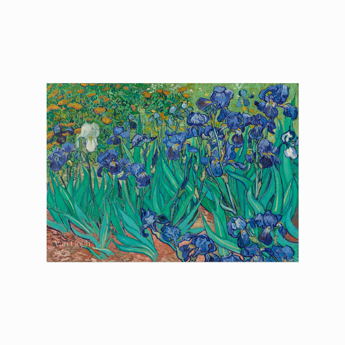 Van Gogh Plakat - Iriserende Blomsterkunst til Dit Hjem