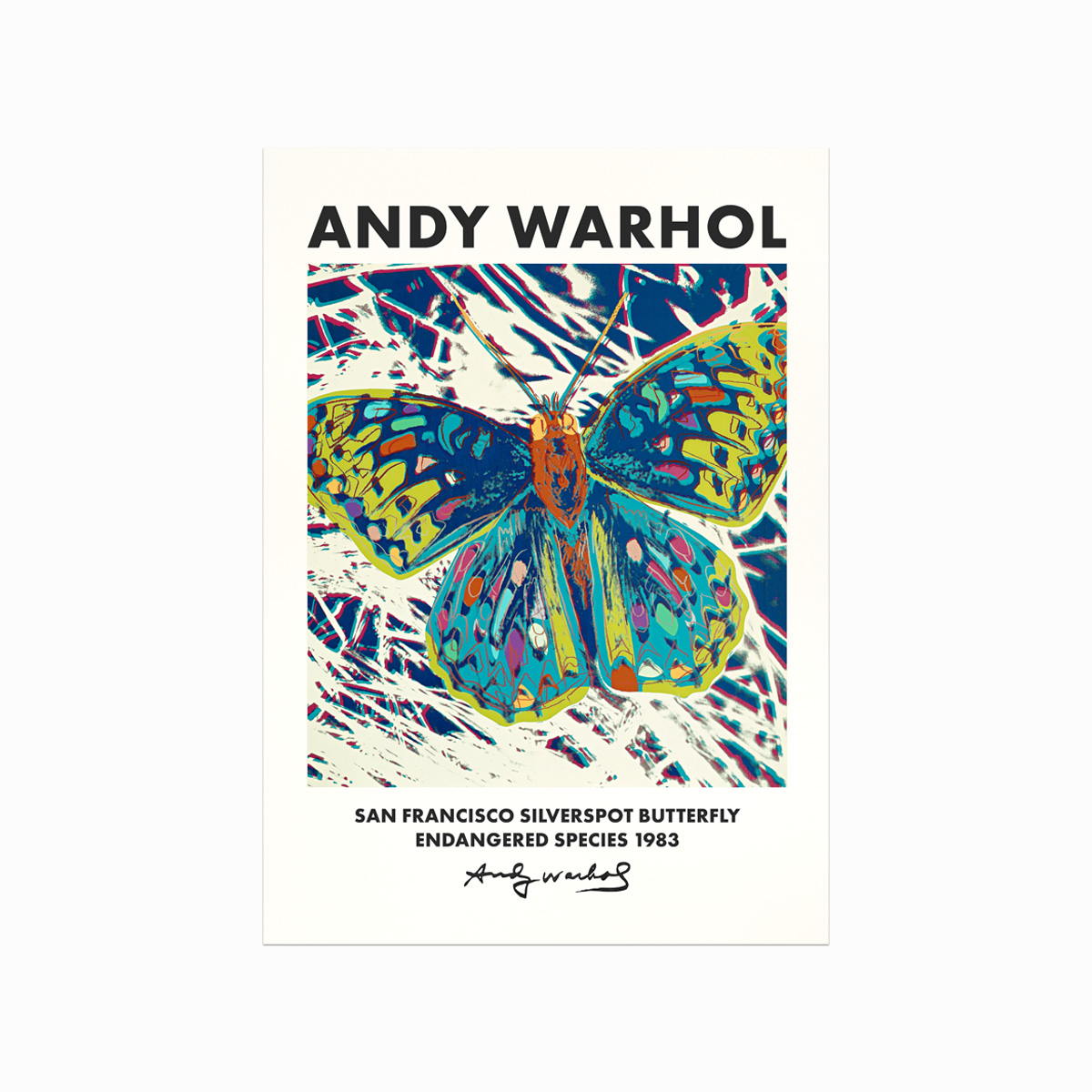 Farverig Andy Warhol Sommerfugl Plakat til Dit Hjem