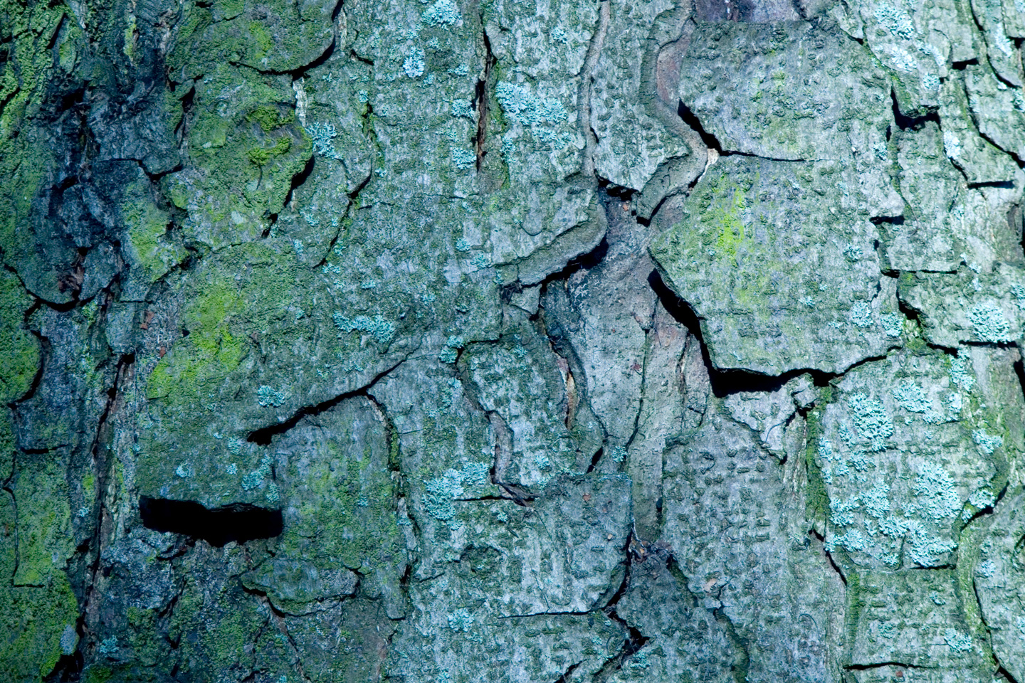 Unikt Bark Kunstværk af Kirsten Stigsgaard - Naturdekoration
