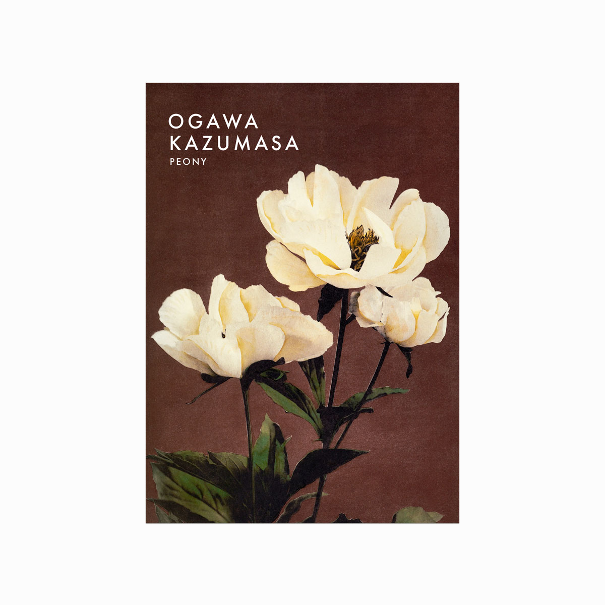 Ogawa Kazumasa Peony Plakat – Japansk Skønhed til Dit Hjem