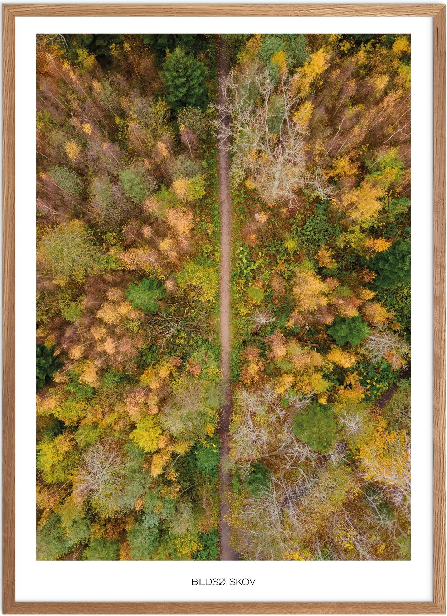 Plakat Bildsø Skov Naturplakat Plakater Vestsjælland Plakat Plakatsnedkeren Drone-plakater