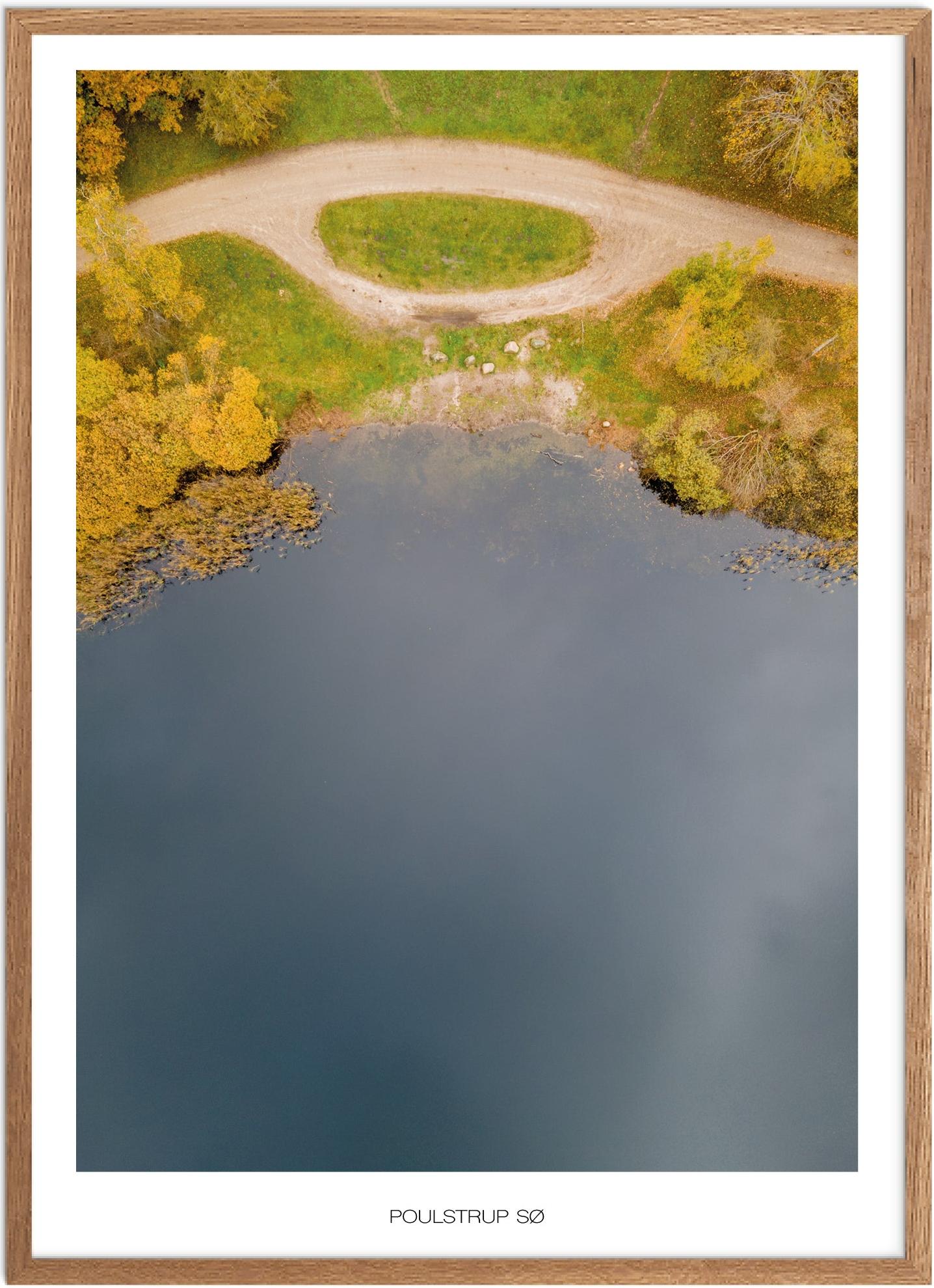 Plakat Dall Hede Naturplakat Plakater Nordjylland Plakat Plakatsnedkeren Drone-plakater