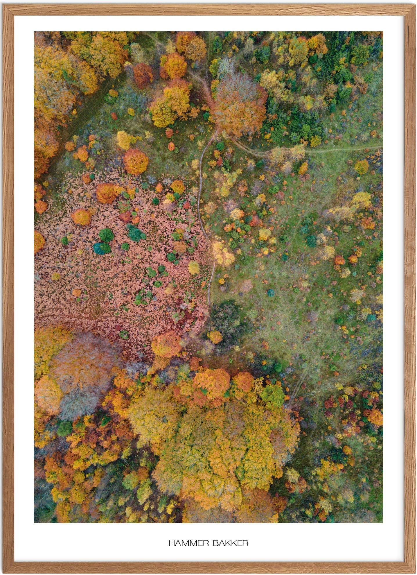 Plakat Hammer Bakker Naturplakat Plakater Nordjylland Plakat Plakatsnedkeren Drone-plakater