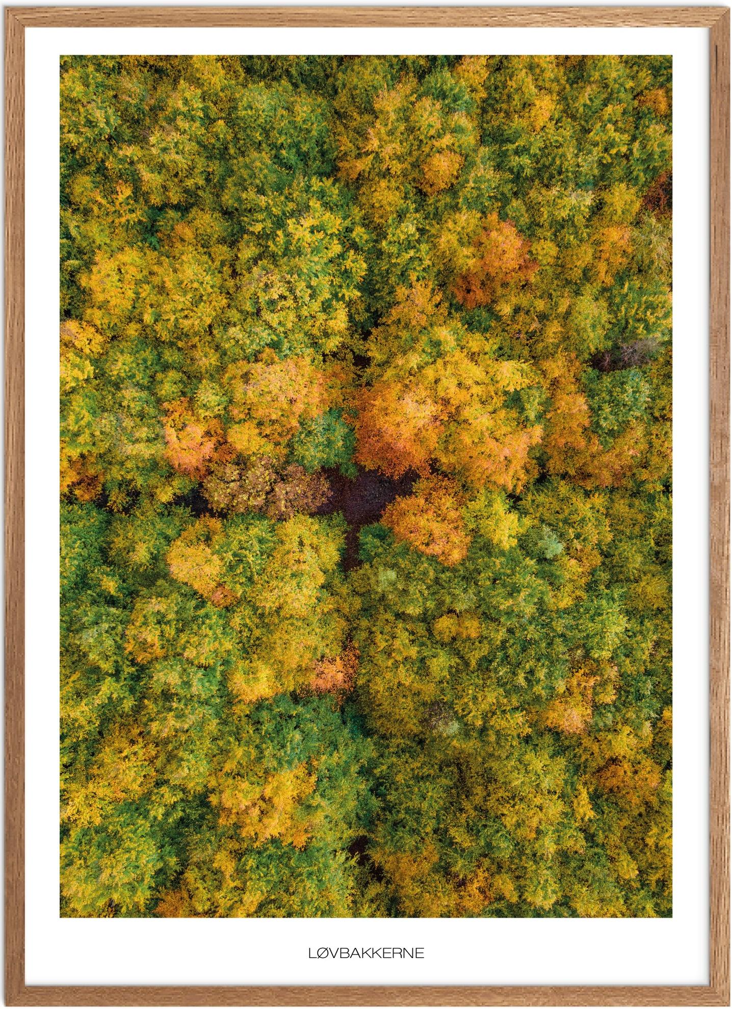 Plakat Løvbakkerne Naturplakat Plakater Vestjylland Plakat Plakatsnedkeren Drone-plakater