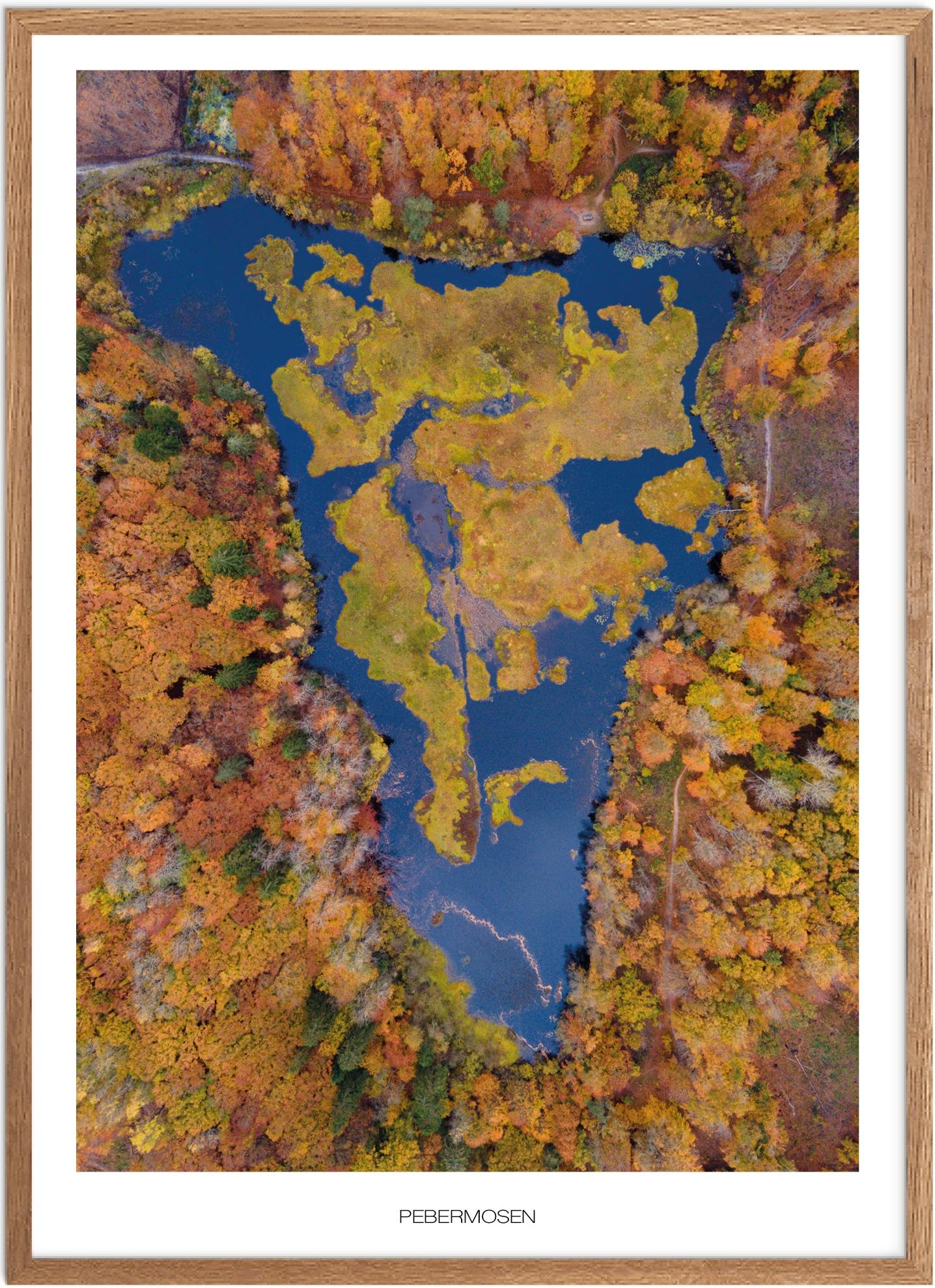Plakat Pebermosen Naturplakat Plakater Nordjylland Plakat Plakatsnedkeren Drone-plakater