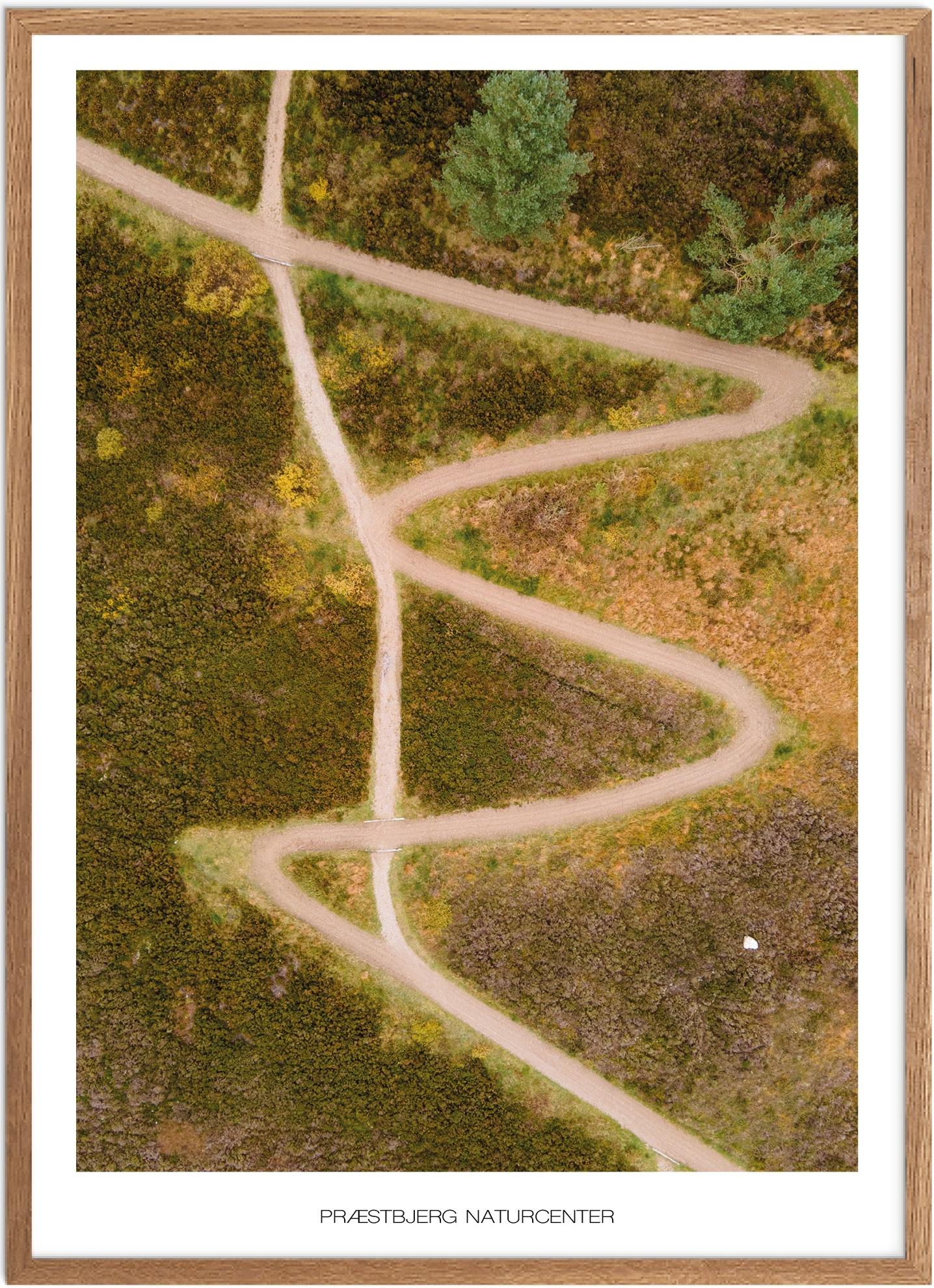 Plakat Præstbjerg Naturcenter Naturplakat Plakater Vestjylland Plakat Plakatsnedkeren Plakater Midtjylland