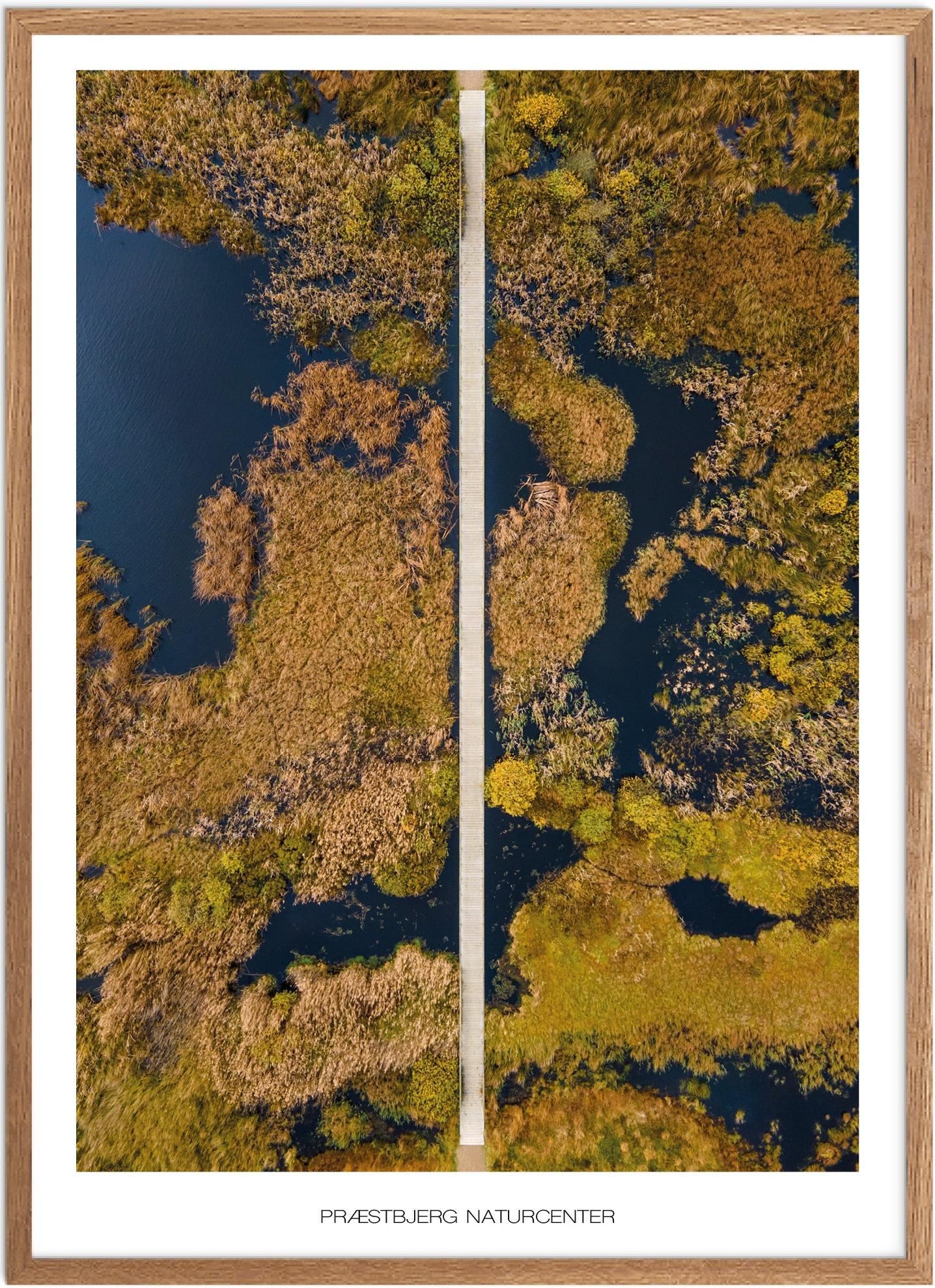 Plakat Præstbjerg Naturcenter Naturplakat Plakater Vestjylland Plakat Plakatsnedkeren Plakater Midtjylland