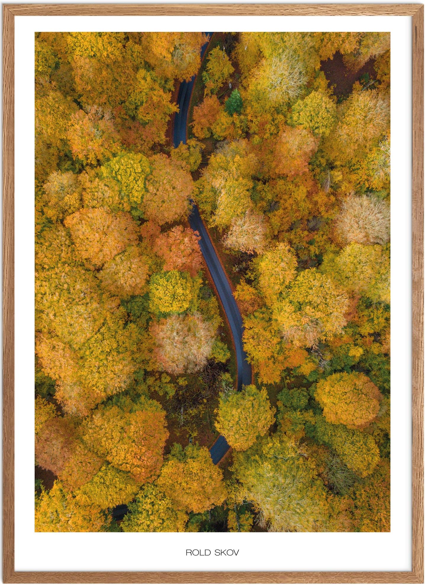 Plakat Rold Skov Naturplakat Plakater Nordjylland Plakat Plakatsnedkeren Drone-plakater
