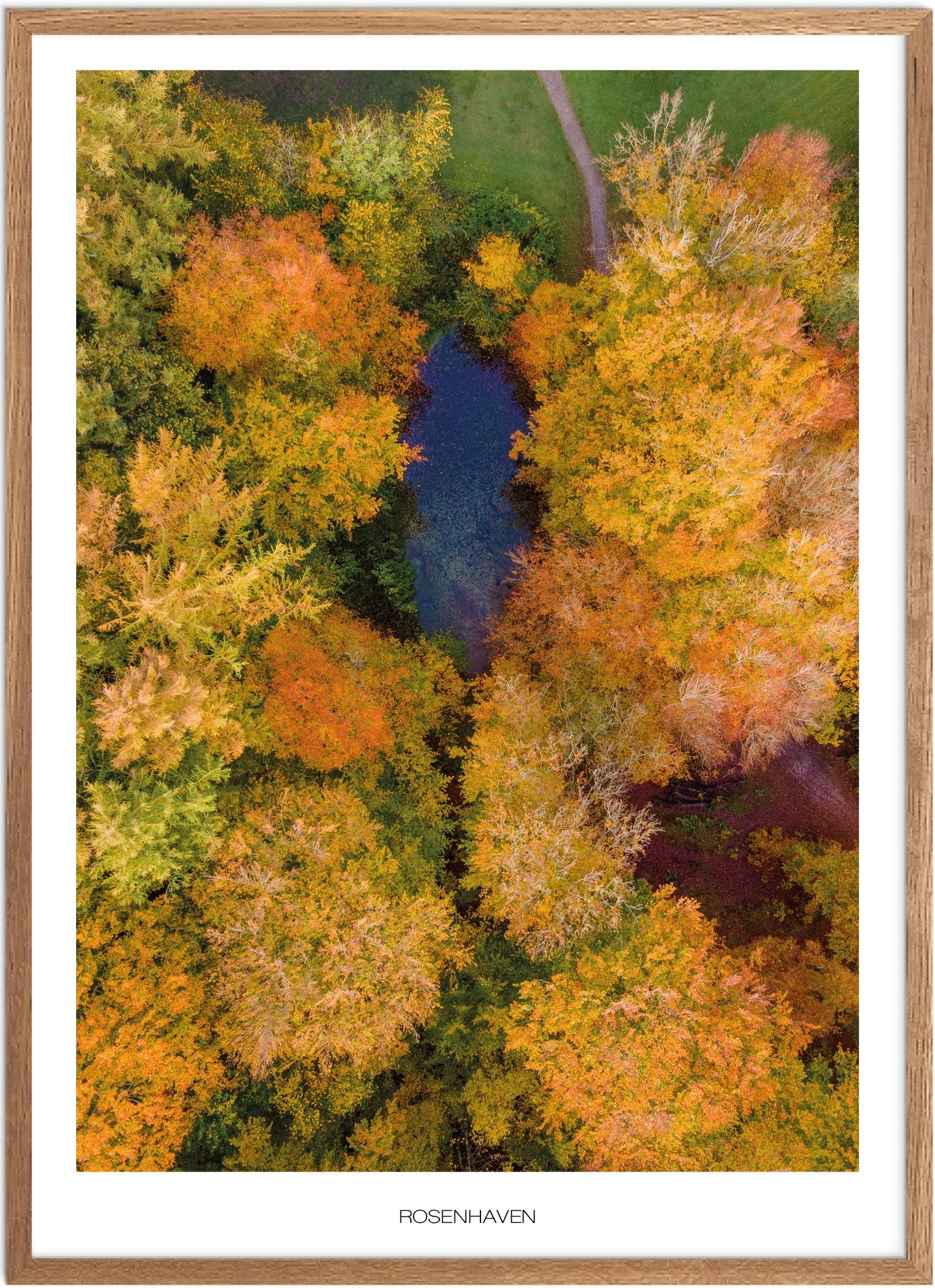 Plakat Rosenhaven Naturplakat Plakater Nordjylland Plakat Plakatsnedkeren Drone-plakater