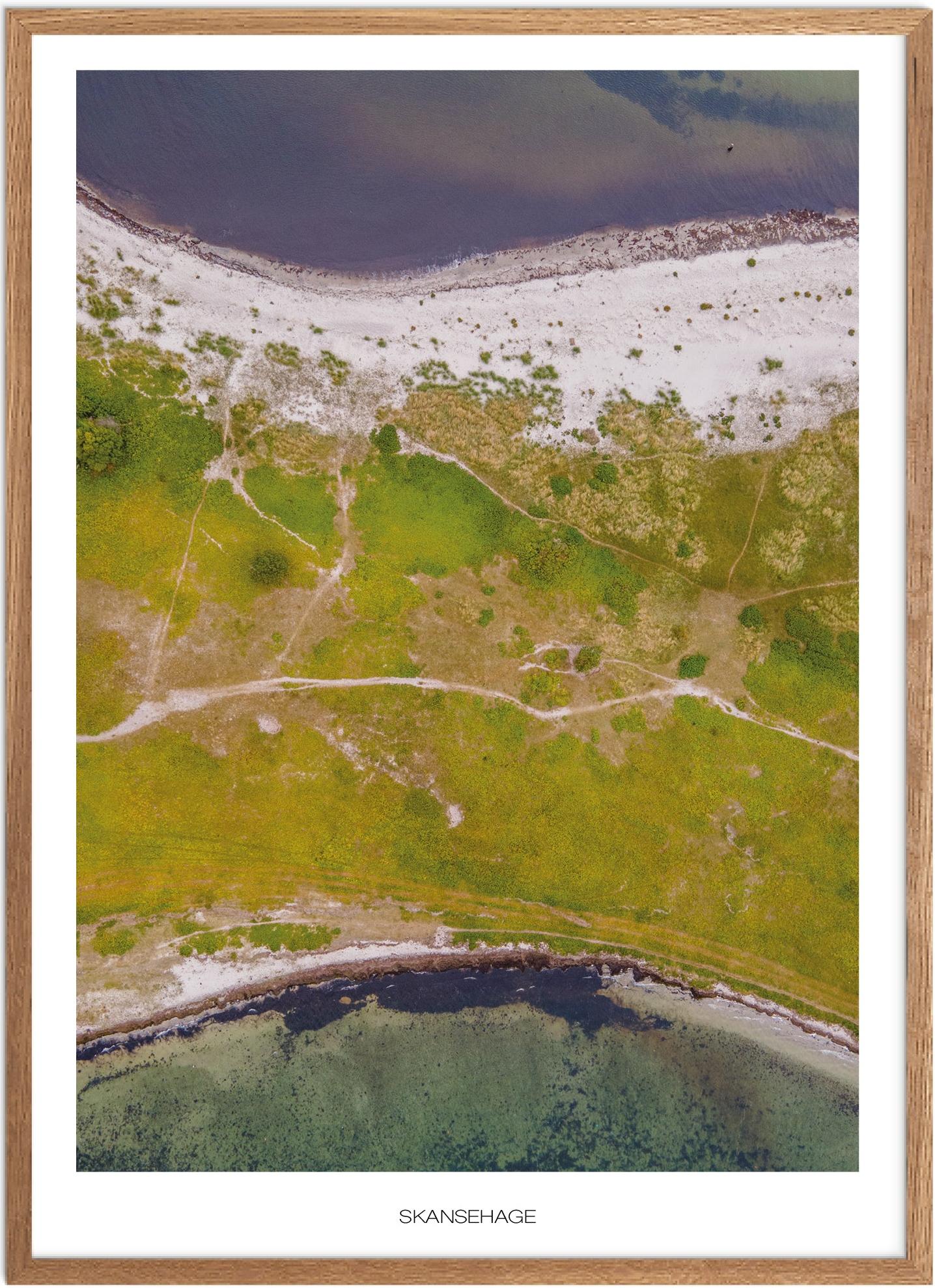 Plakat Skansehage Naturplakat Plakater Vestsjælland Plakat Plakatsnedkeren Plakater Odsherred