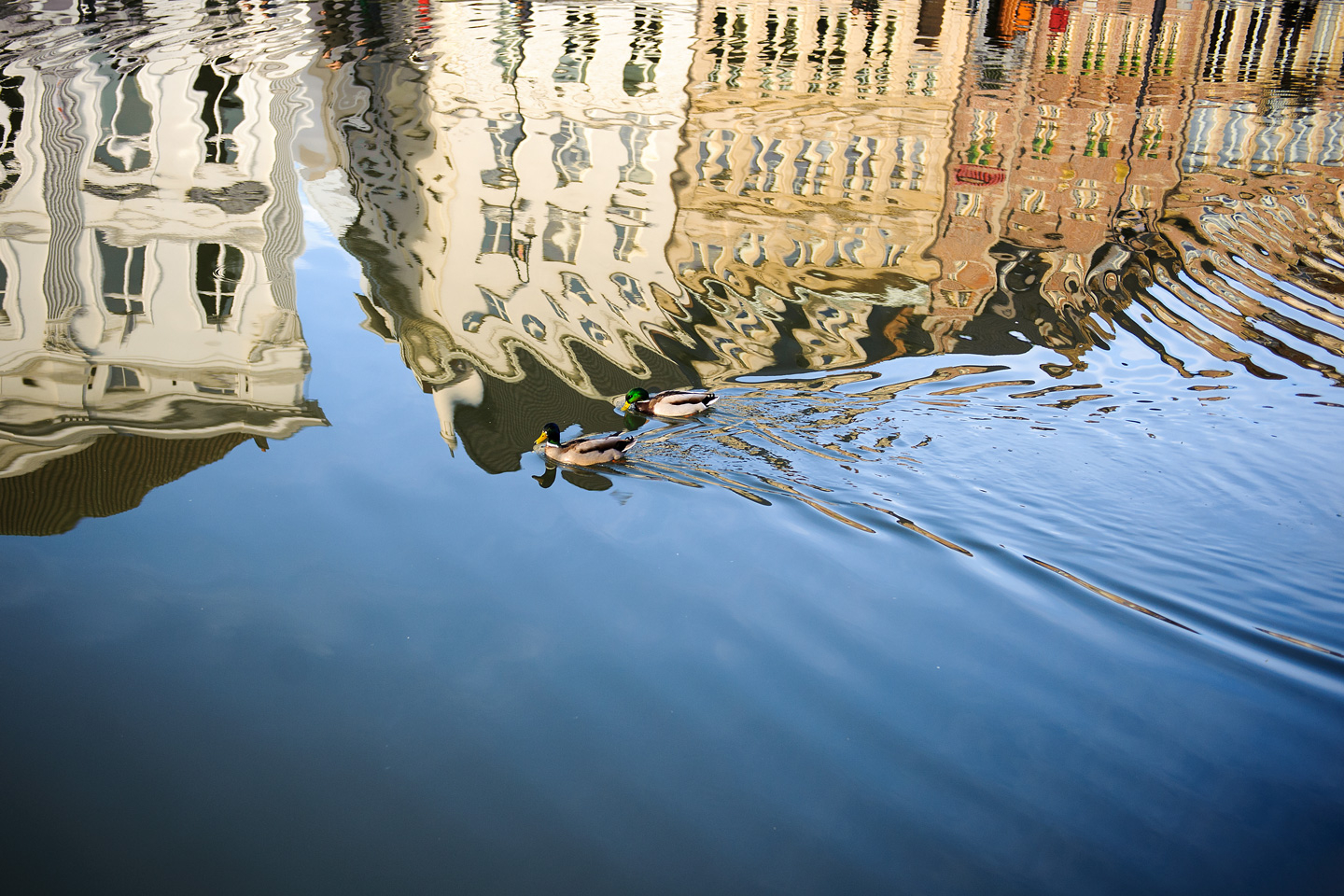 Refleksion i Gent af Julie Aucoin – Unik Kunst til Hjemmet