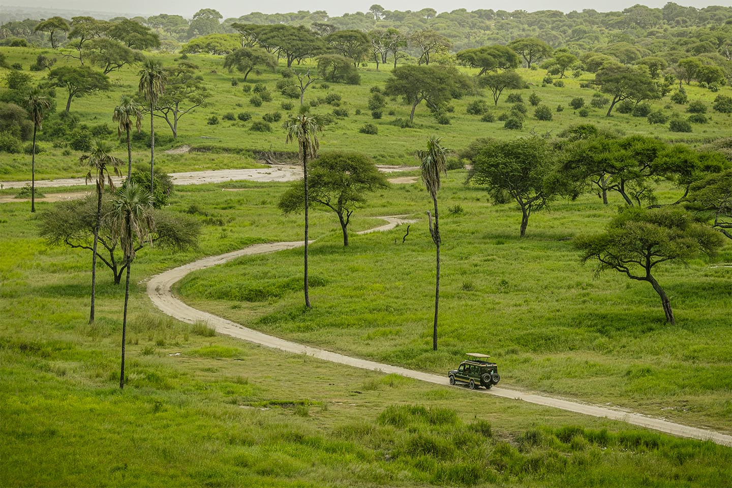 Unikt foto "Driving Into The Wild" af Rasmus Gundorff
