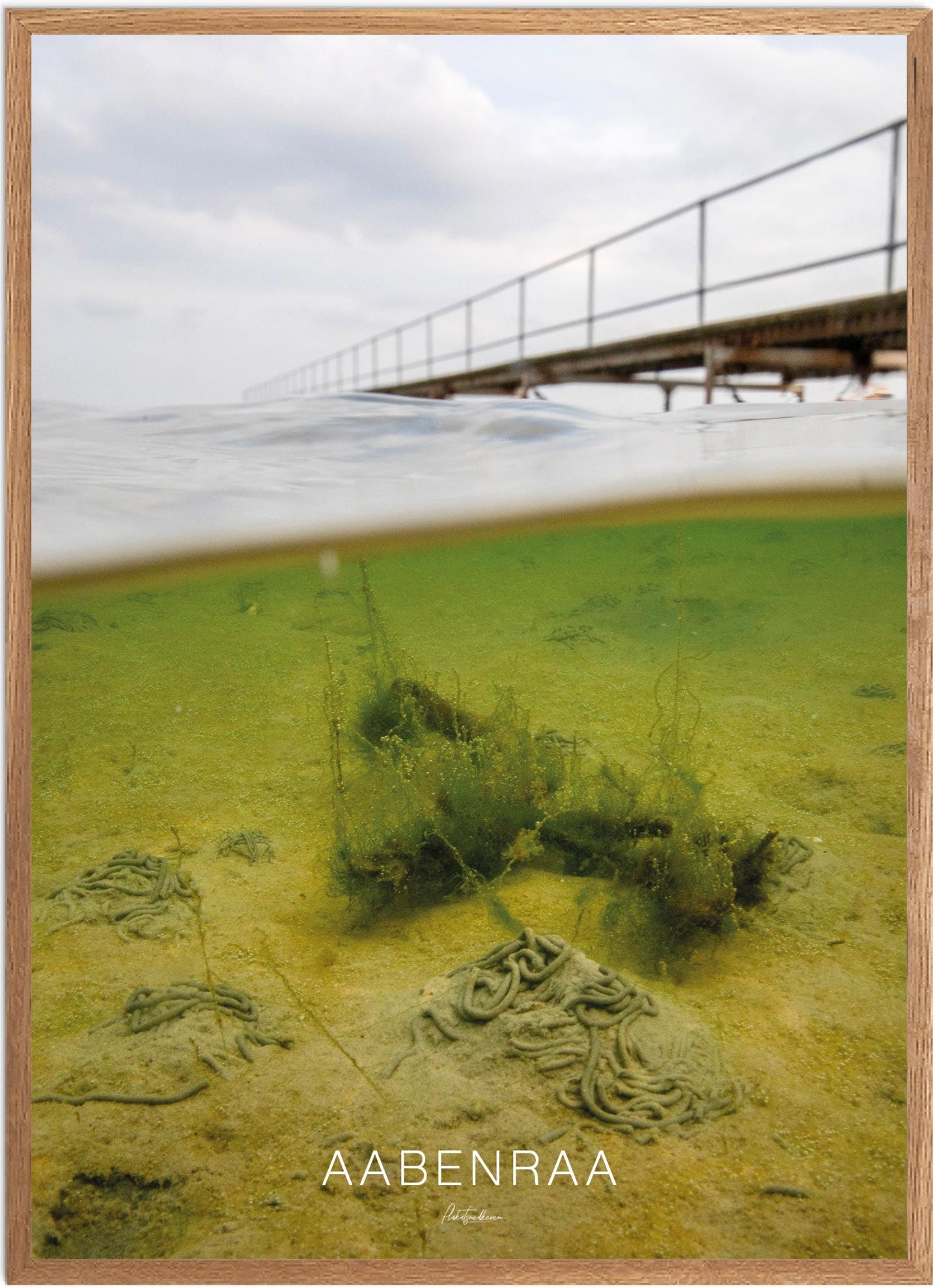 Plakat Aabenraa Naturplakat Recommended Products Seguno Plakat Plakatsnedkeren