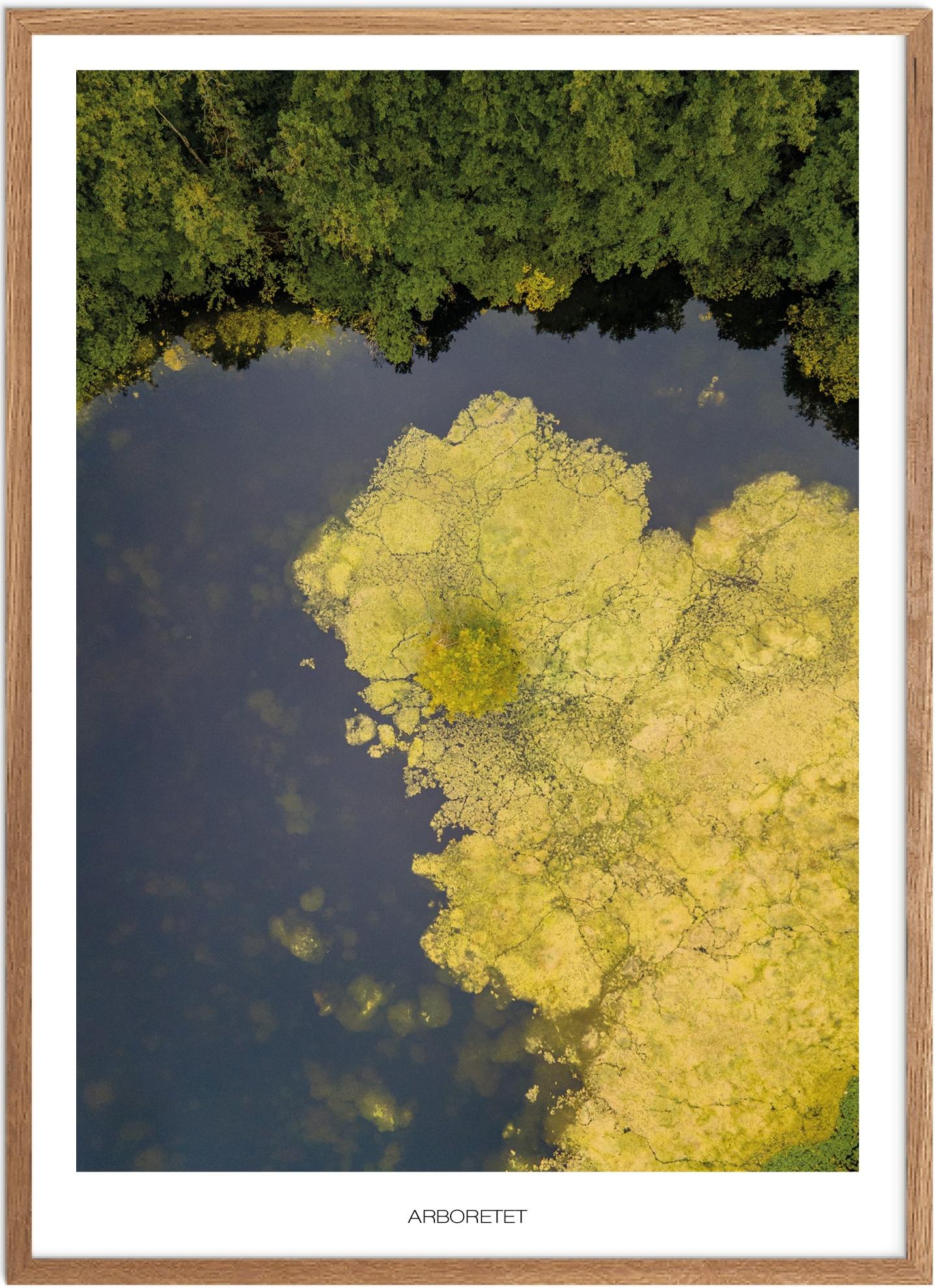 Plakat Arboretet Naturplakat Plakater Nordsjælland Plakat Plakatsnedkeren Drone-plakater