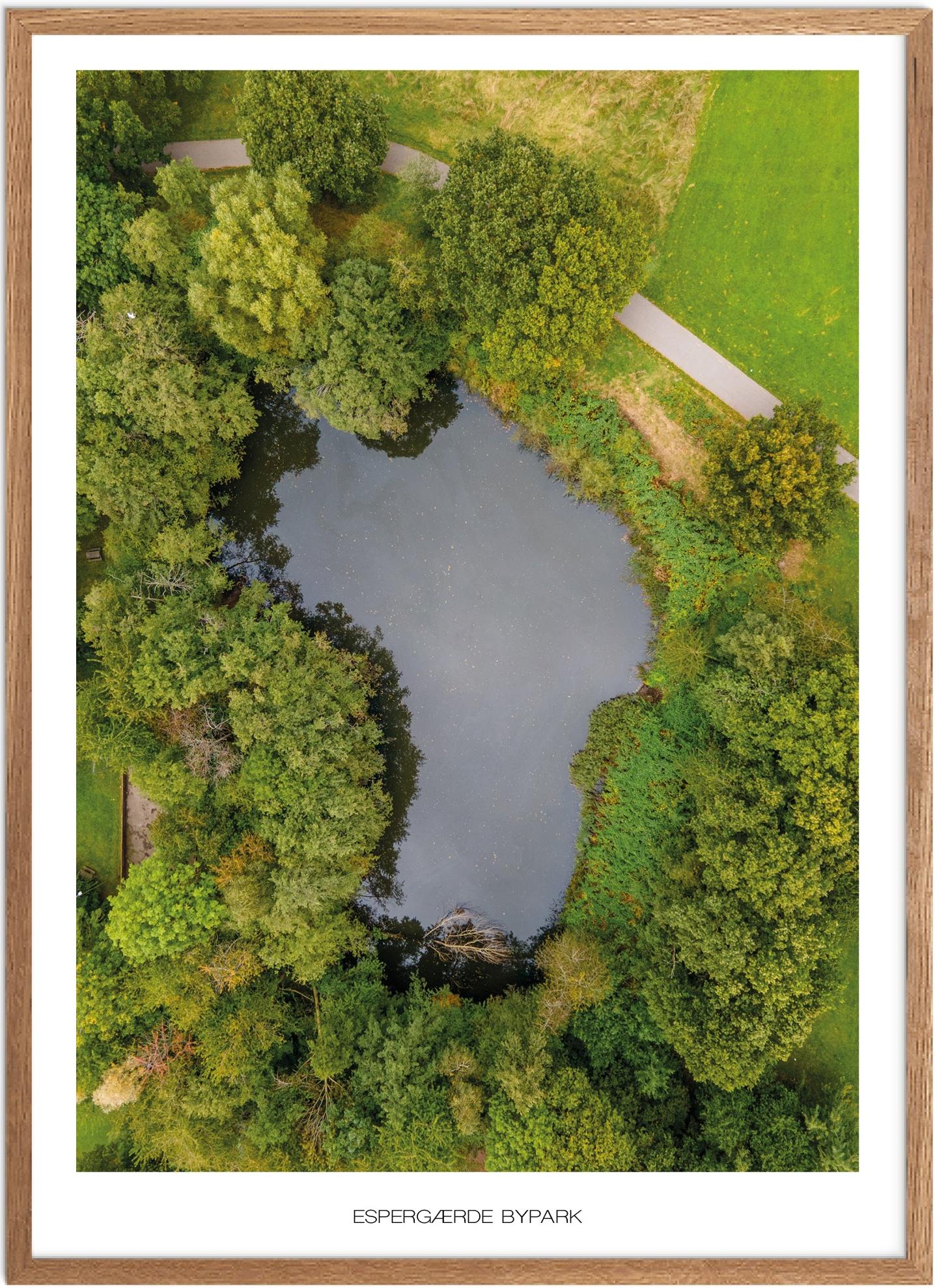 Plakat Espergærde Bypark Naturplakat Plakater Nordsjælland Plakat Plakatsnedkeren Drone-plakater