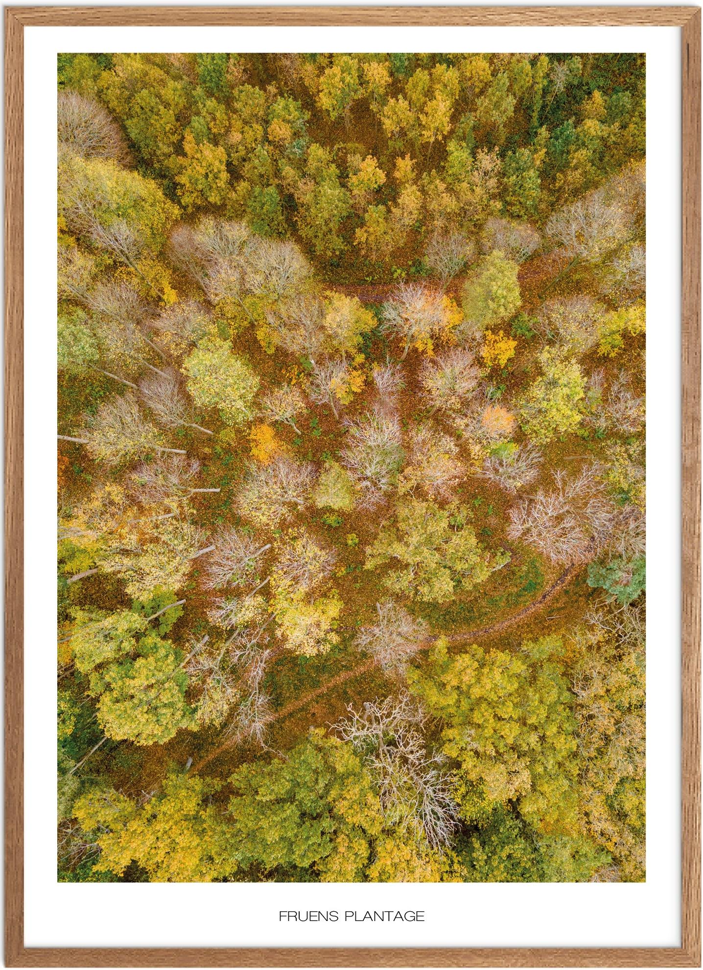 Plakat Fruens Plantage    Naturplakat   Recommended Products  Seguno    Plakat   Plakatsnedkeren   Drone-plakater