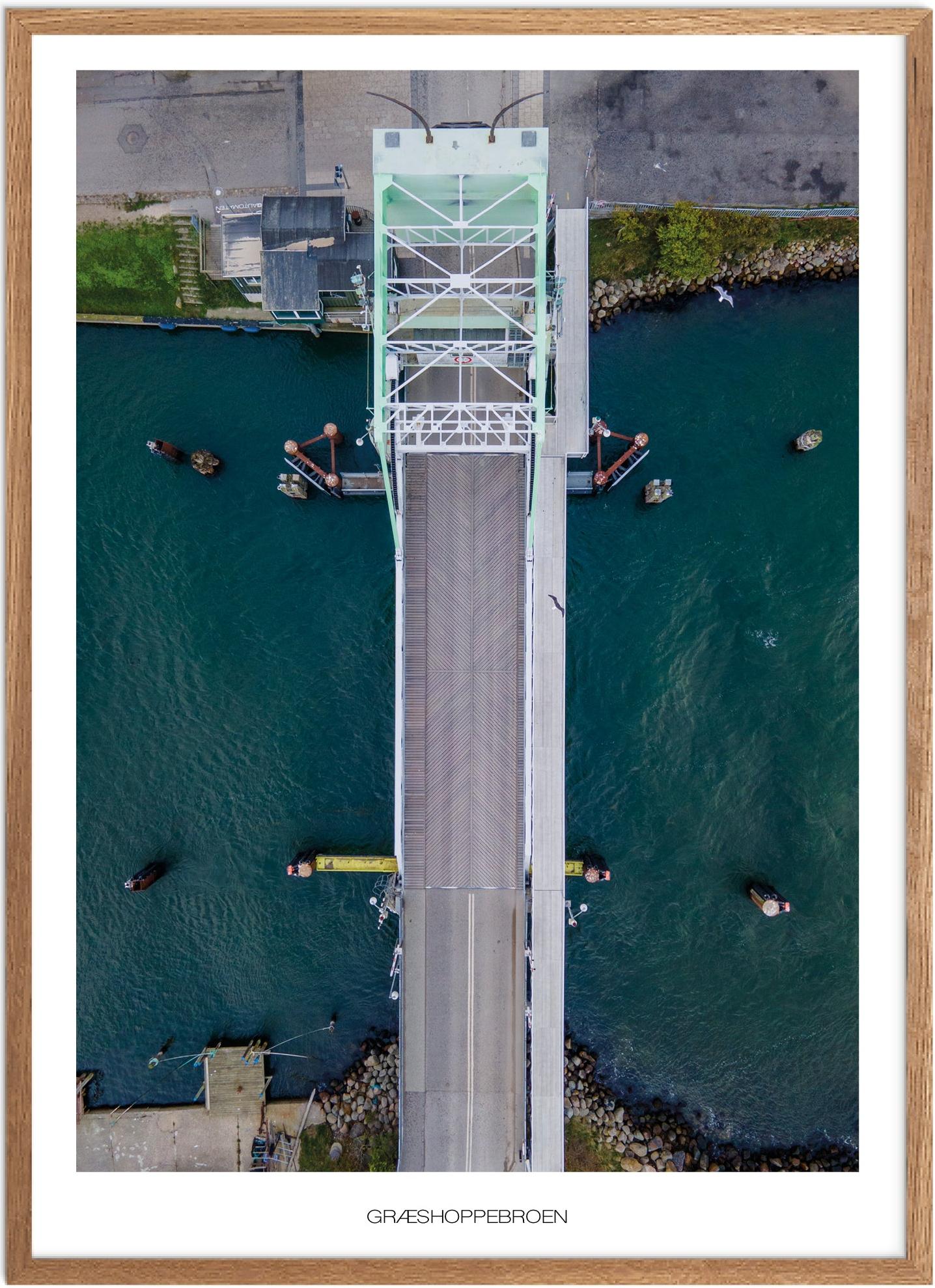 Plakat Græshoppebroen Naturplakat Recommended Products Seguno Plakat Plakatsnedkeren Drone-plakater