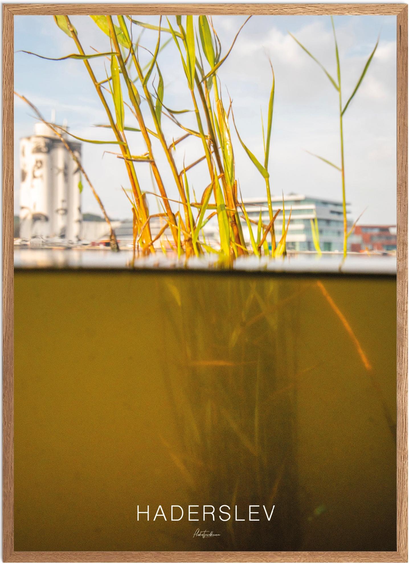 Plakat Haderslev Naturplakat Recommended Products Seguno Plakat Plakatsnedkeren