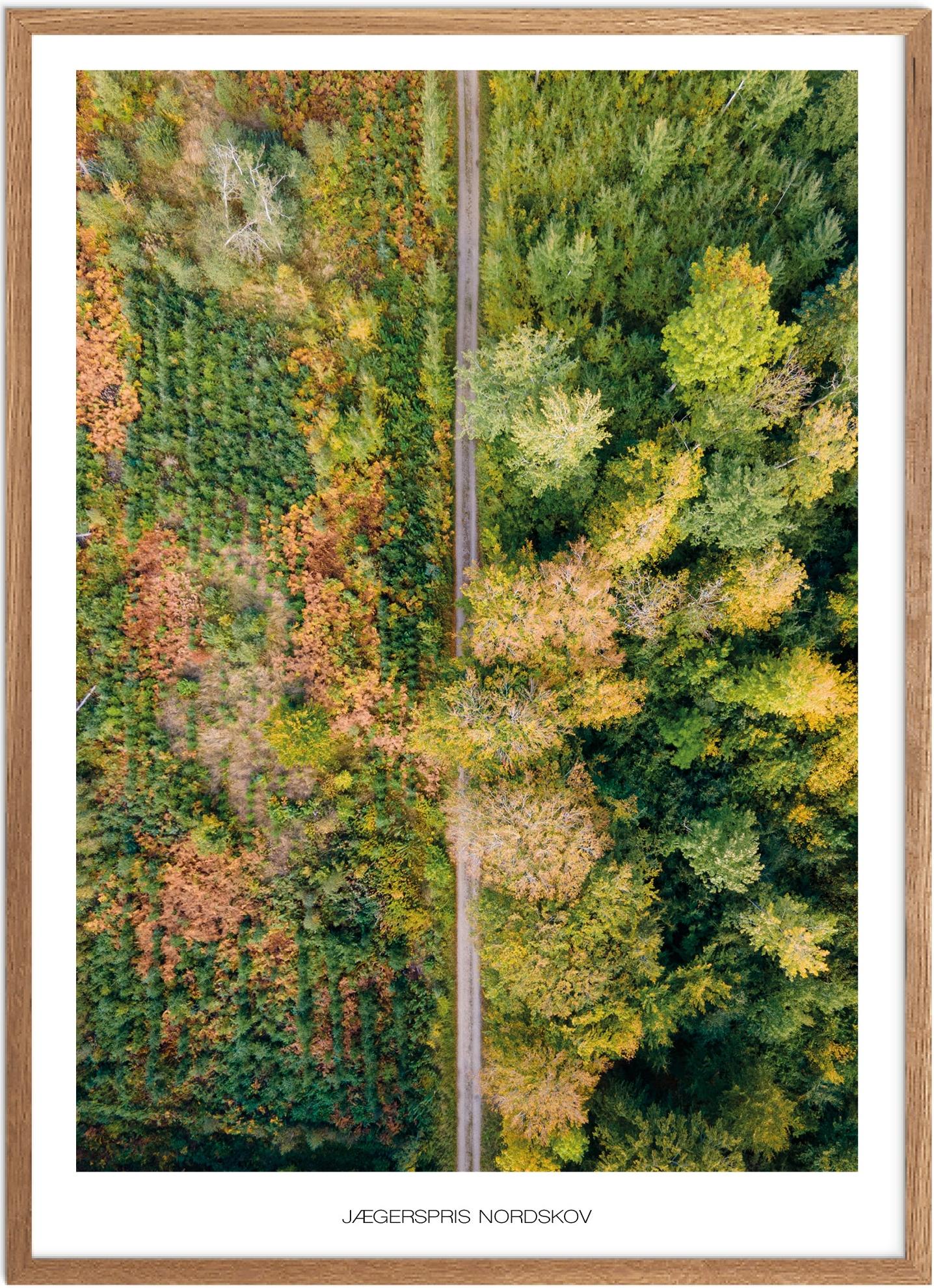 Plakat Jægerspris Nordskov Naturplakat Plakater Nordsjælland Plakat Plakatsnedkeren Drone-plakater