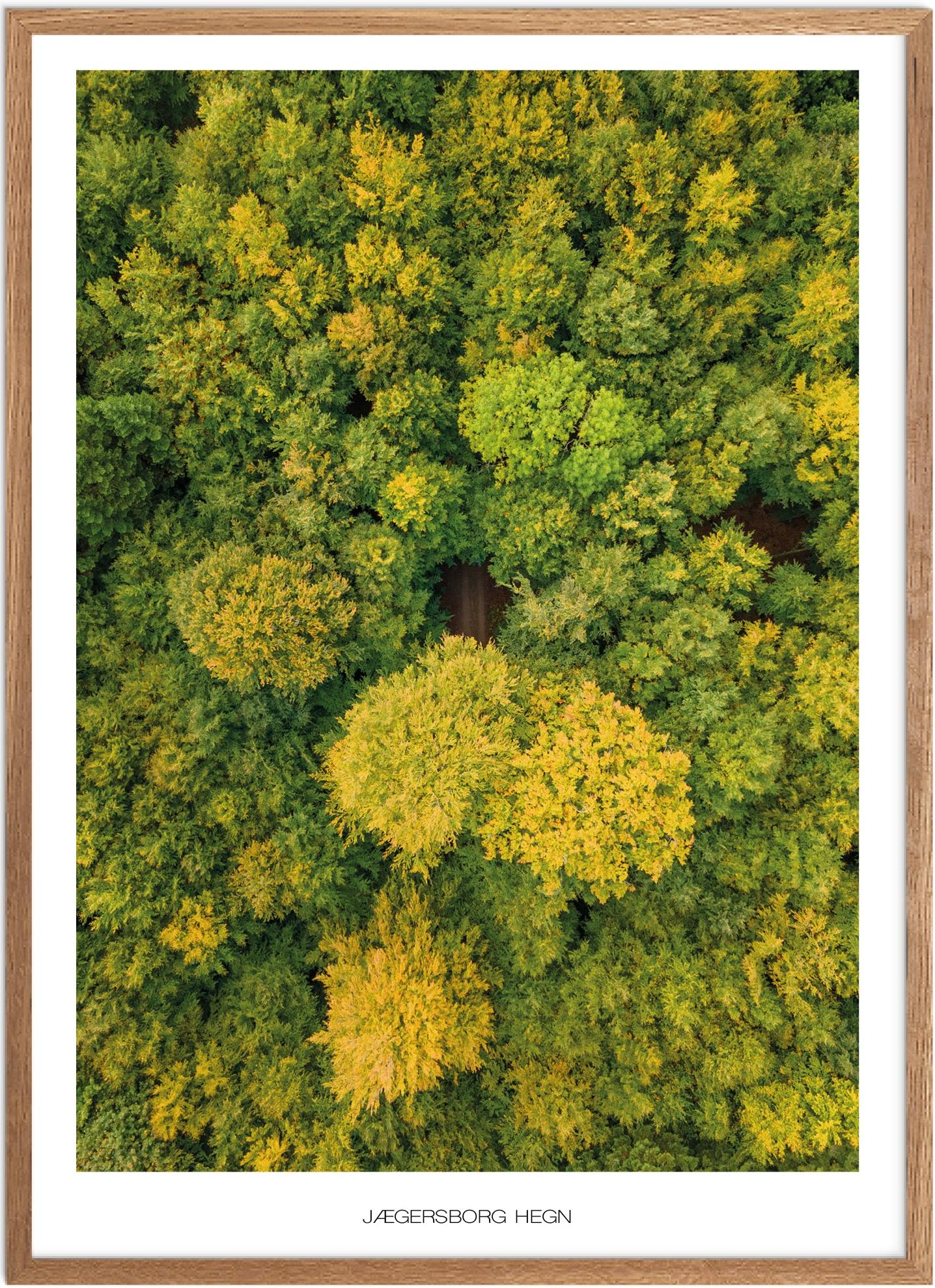 Plakat Jærgersborg Hegn Naturplakat Plakater Nordsjælland Plakat Plakatsnedkeren Drone-plakater