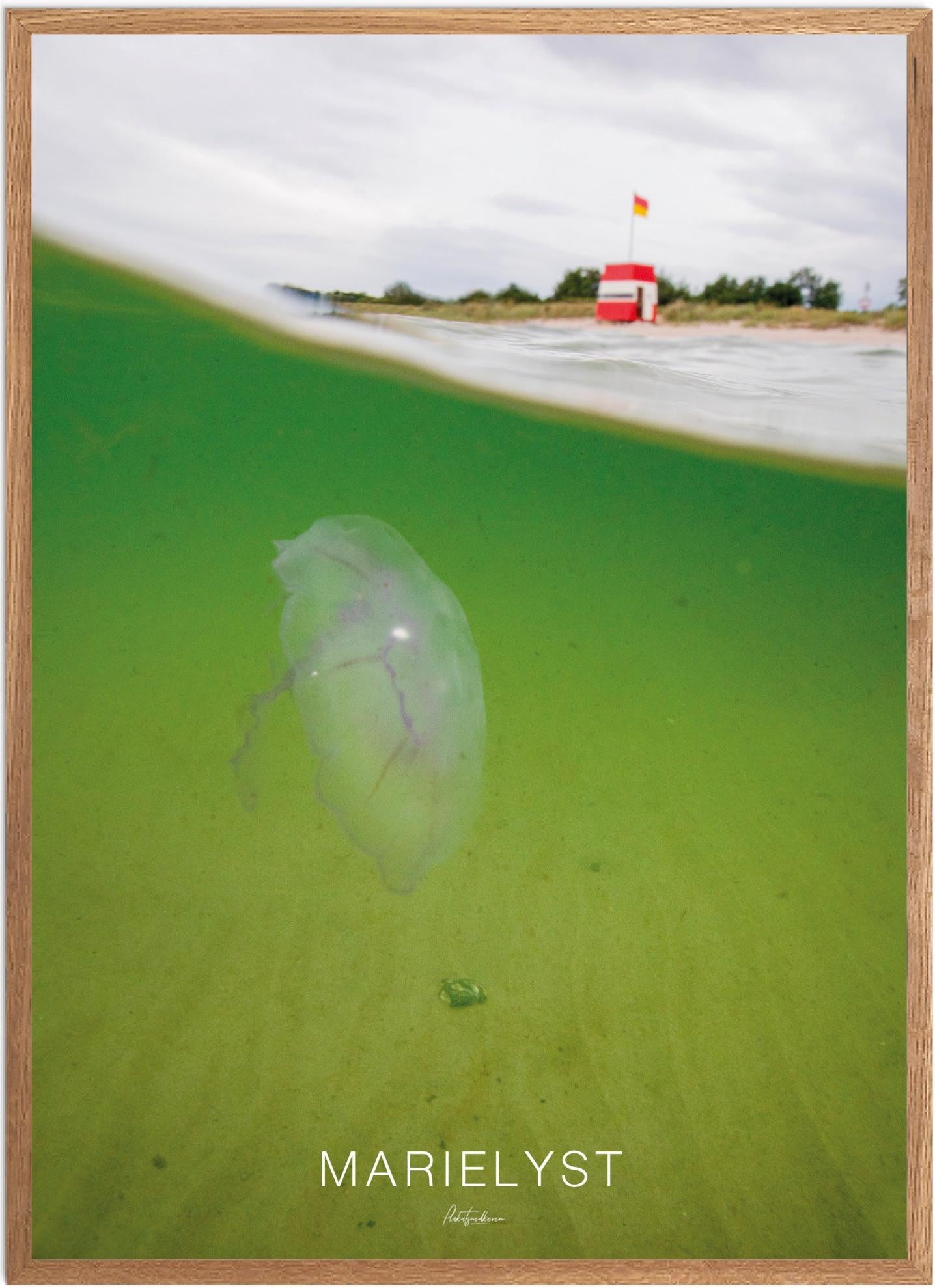 Plakat Marielyst Naturplakat Recommended Products Seguno Plakat Plakatsnedkeren