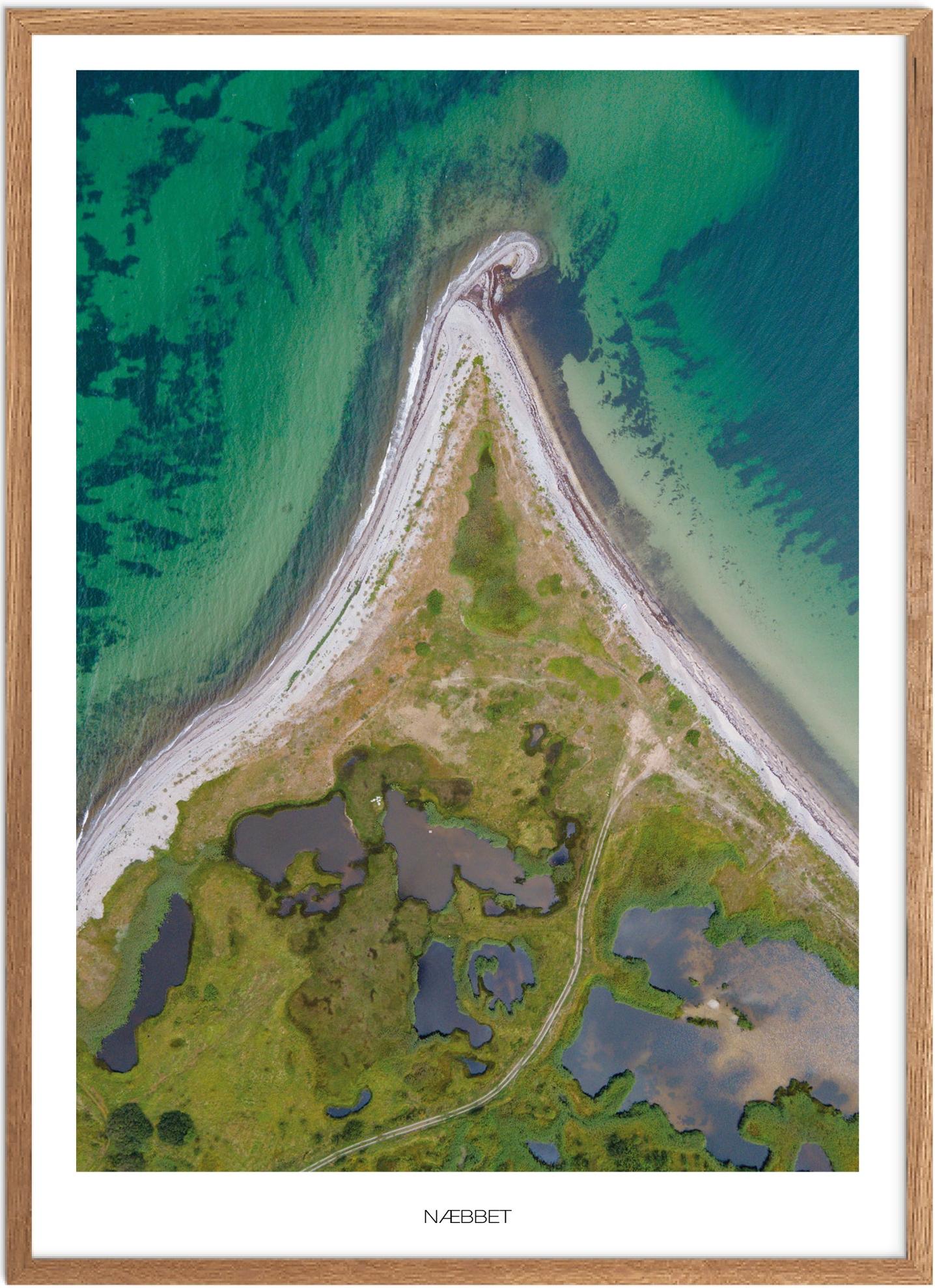 Plakat Næbbet Naturplakat Recommended Products Seguno Plakat Plakatsnedkeren Det Sydfynske øhav