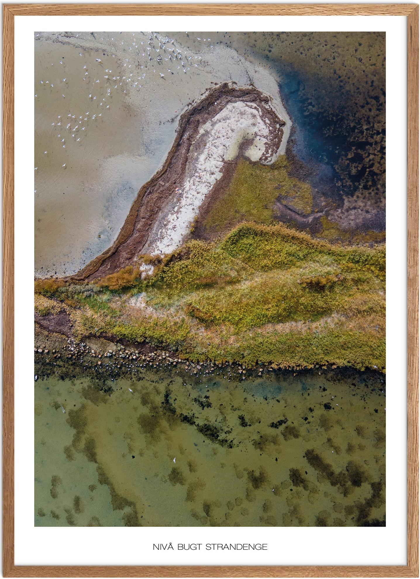 Plakat Nivå Naturplakat Plakater Nordsjælland Plakat Plakatsnedkeren Drone-plakater